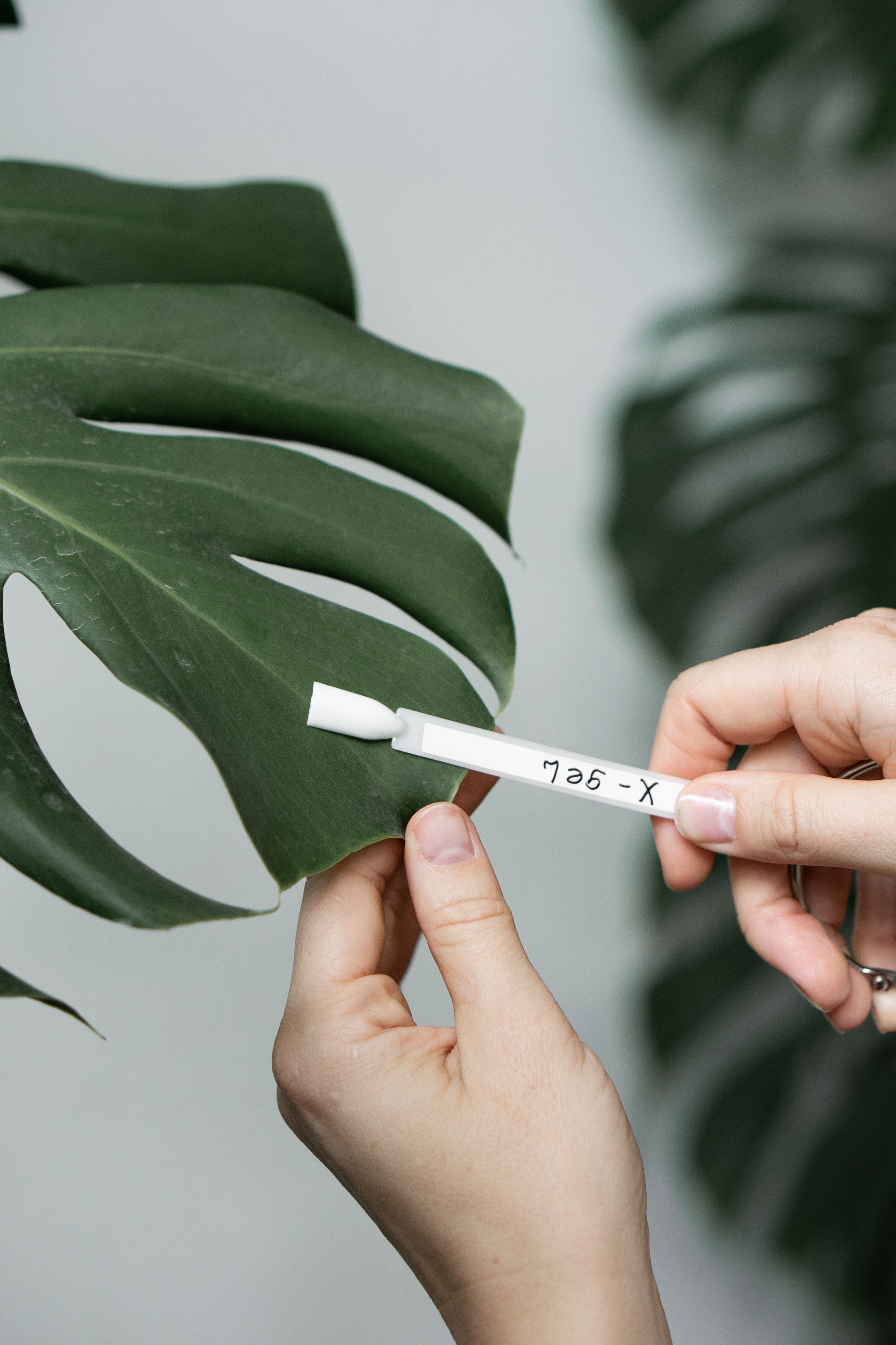 Контент для бутик салона Blooming Garden. Контент фотограф Санкт-Петербург Богодухова Лариса