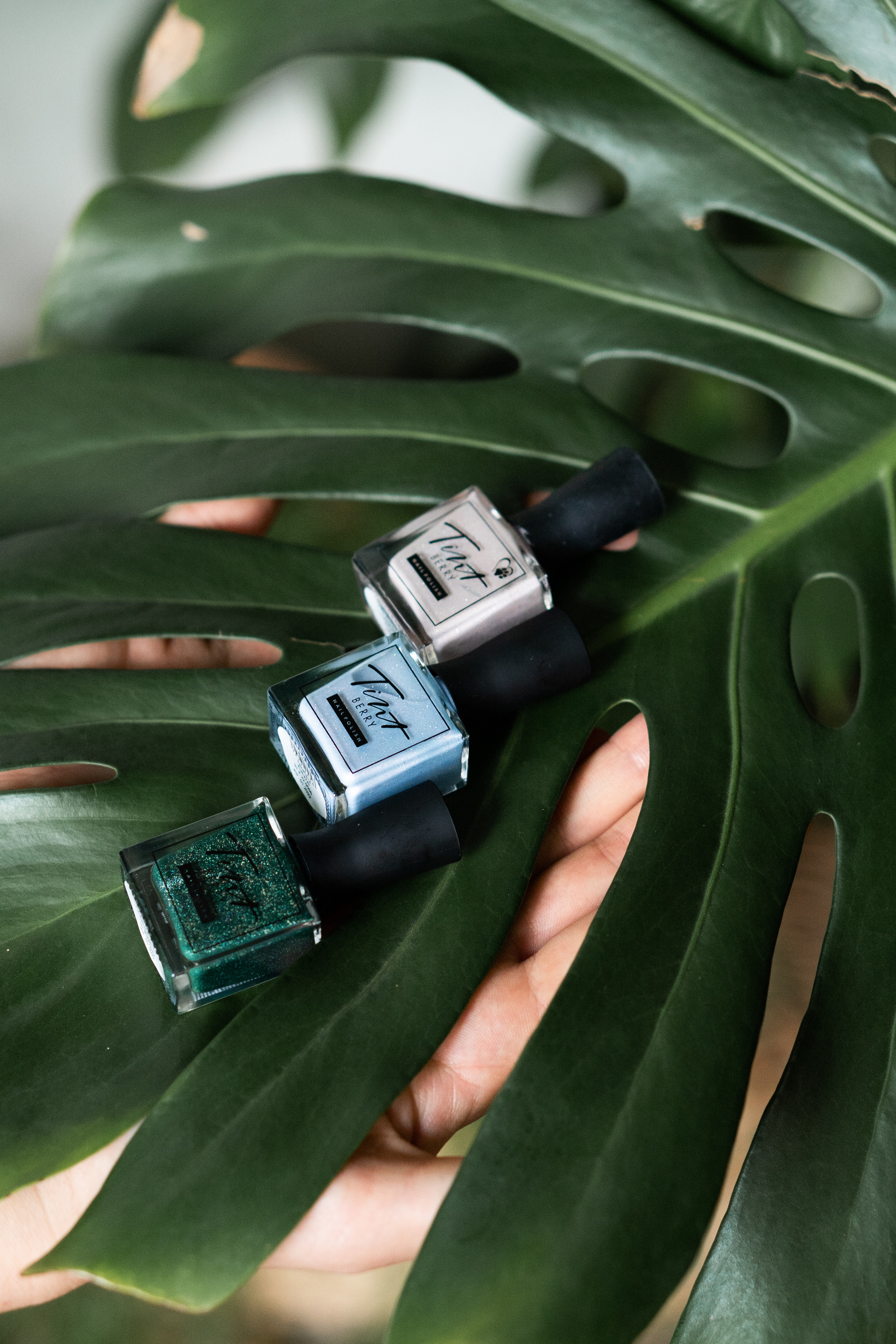 Контент для бутик салона Blooming Garden. Контент фотограф Санкт-Петербург Богодухова Лариса