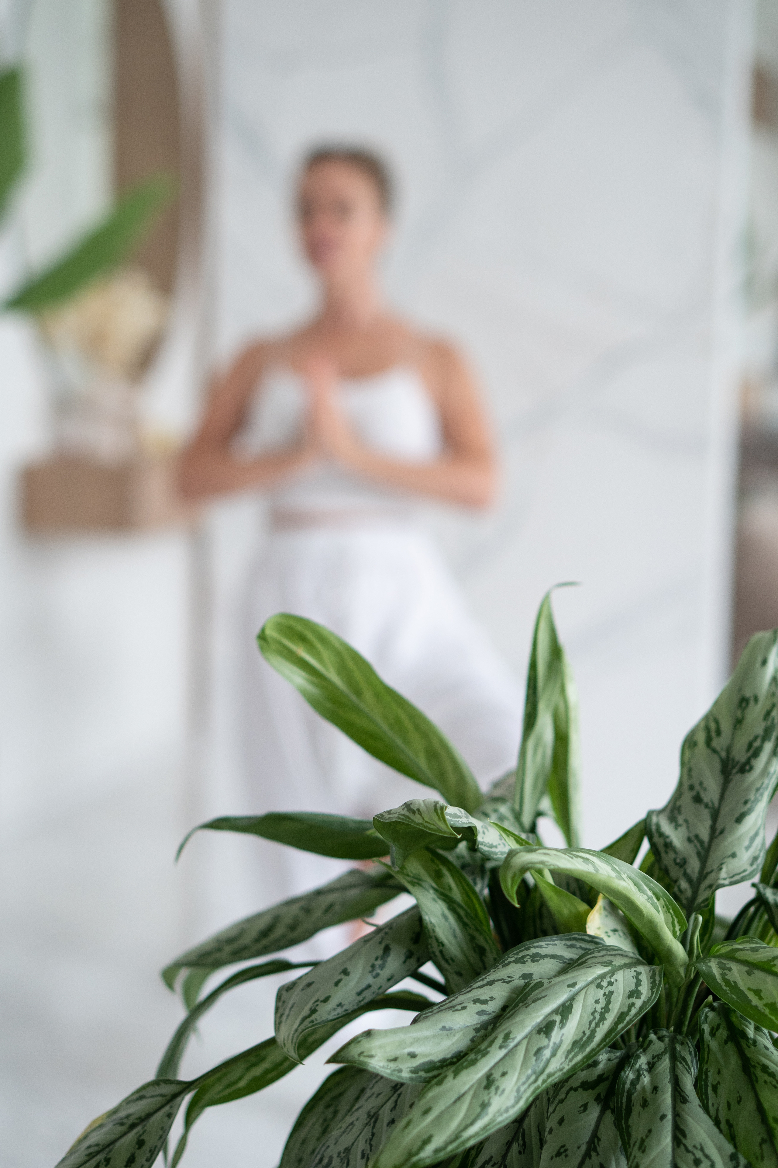 Контент для бутик салона Blooming Garden. Контент фотограф Санкт-Петербург Богодухова Лариса