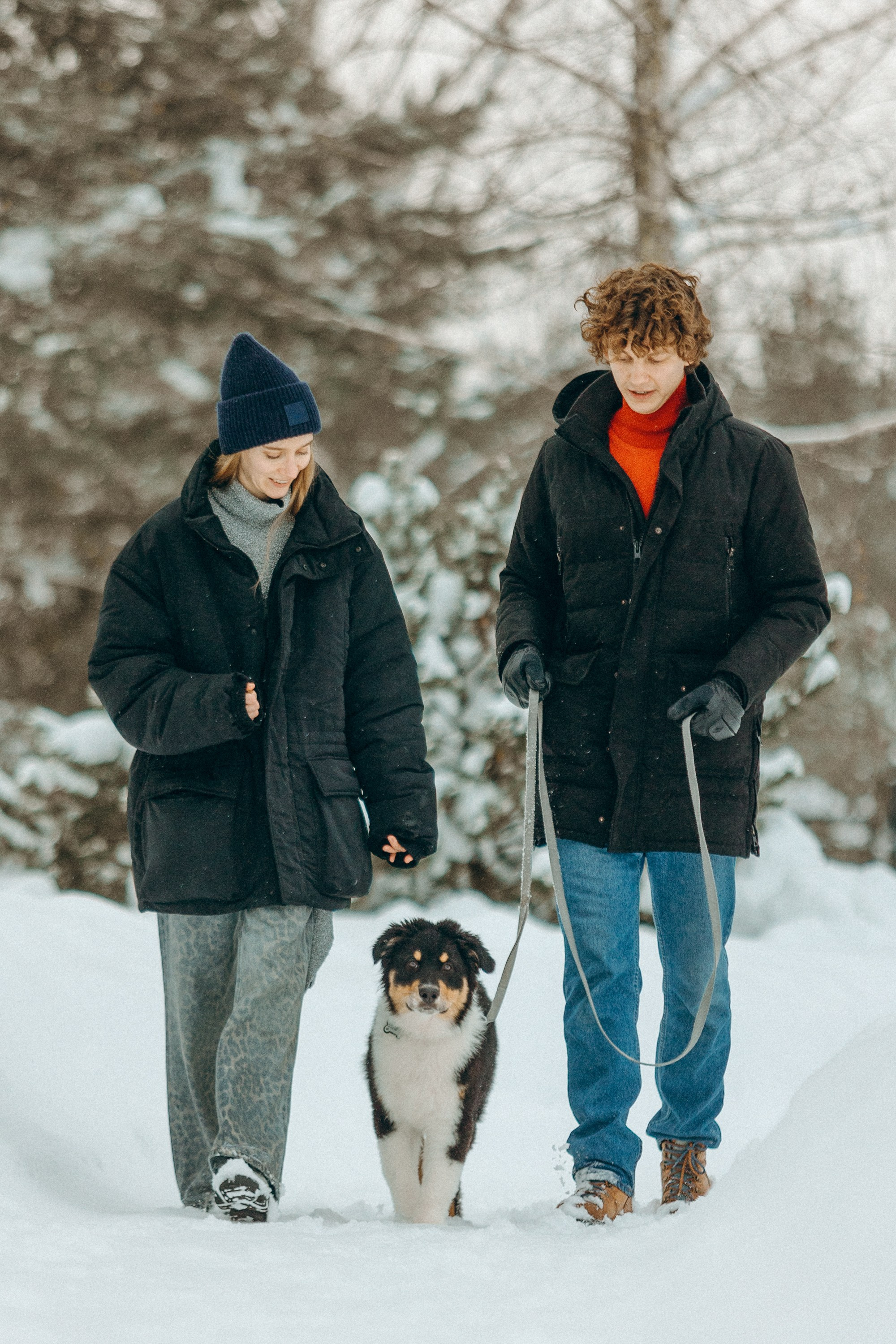 Рей со своей семьей. Фотограф. Фотограф-анималист. Москва