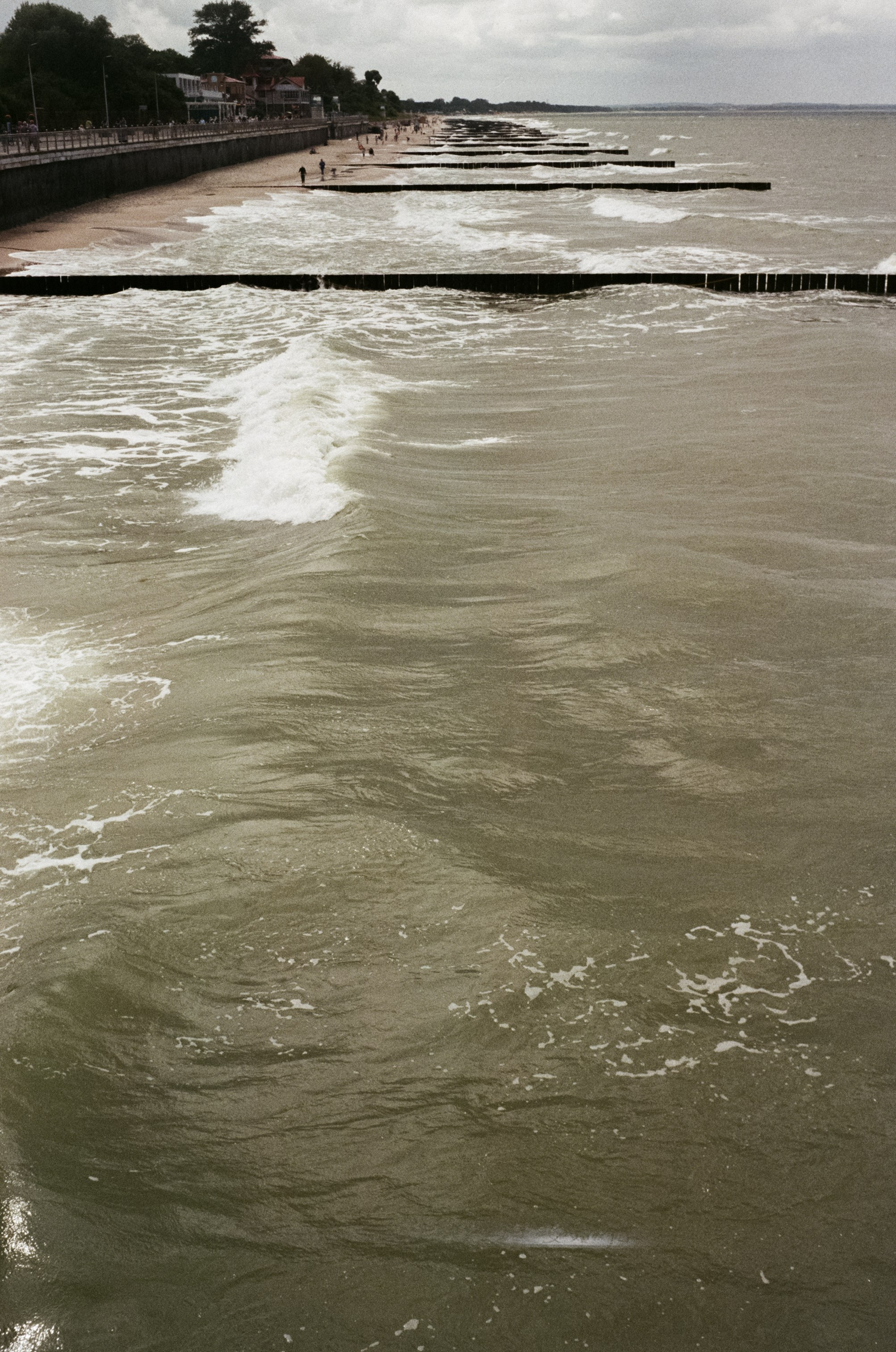 Калининград остров Канта, Кафедральный собор / Minox 35 GT (2)