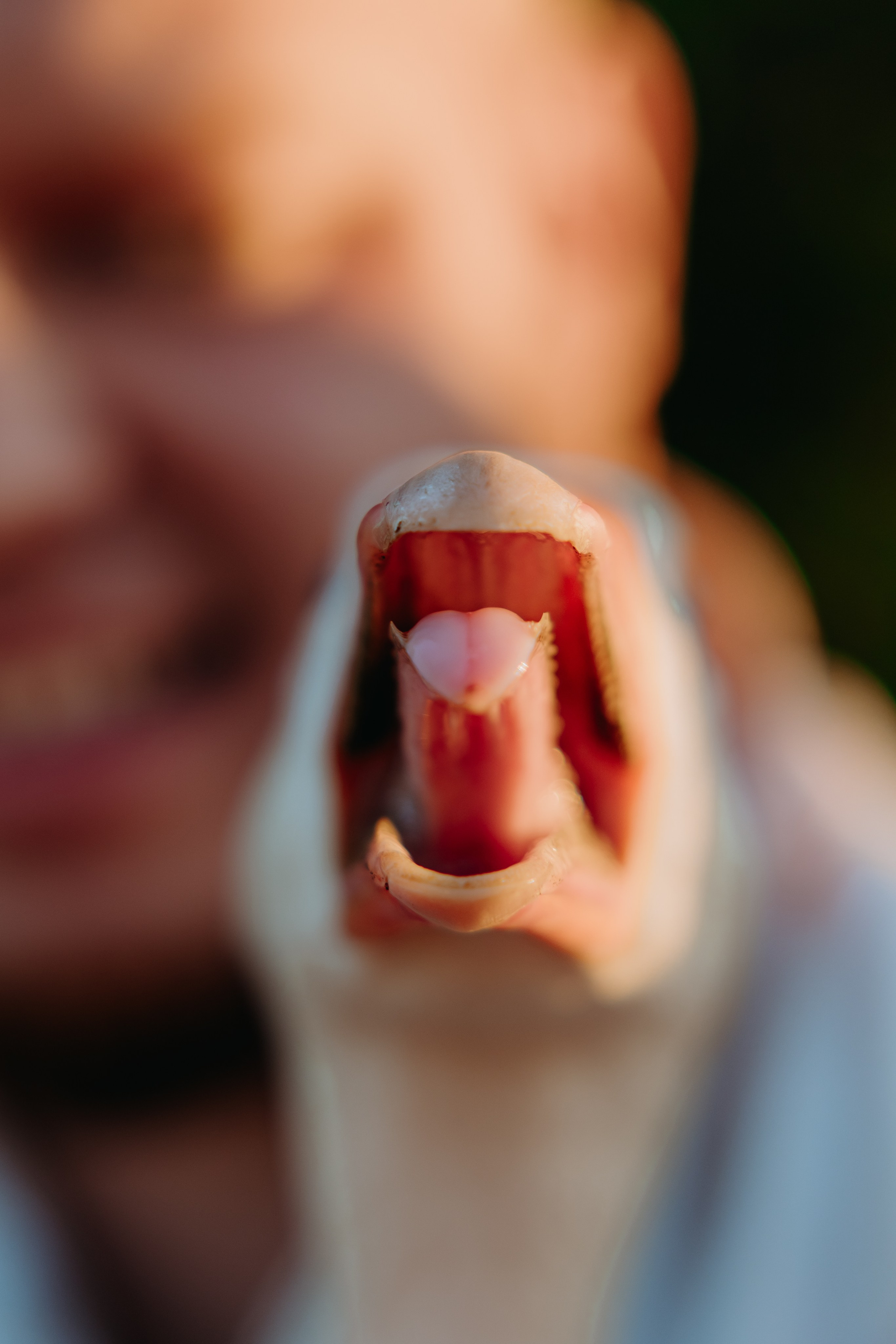 Глеб и Нильс. Фотограф в Саратове Александр Кухаренко. И не только в Саратове :)