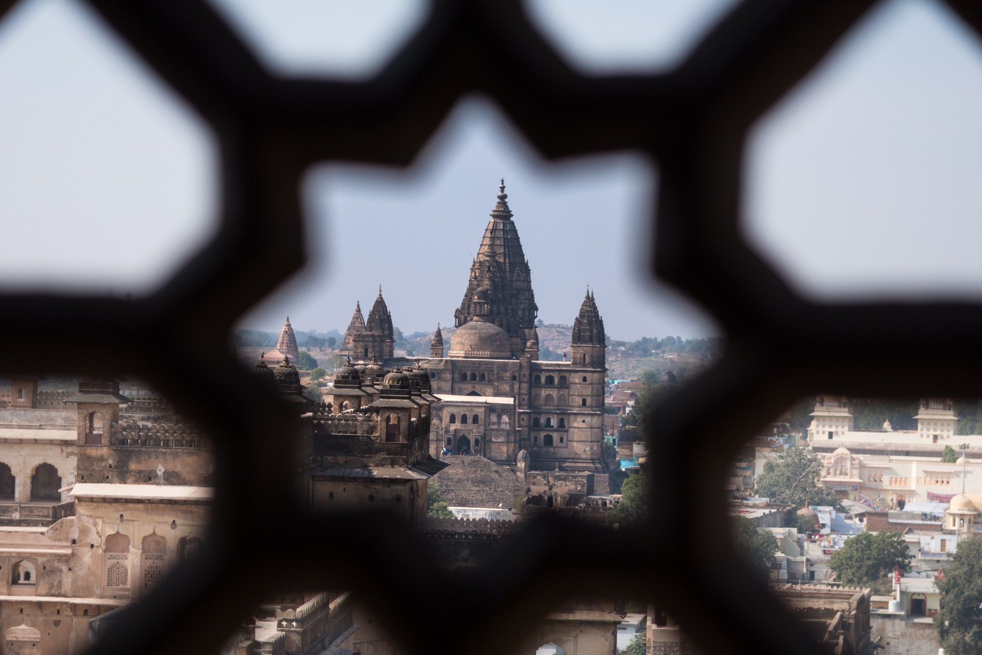 Фотограф Алексей Скоробогатько