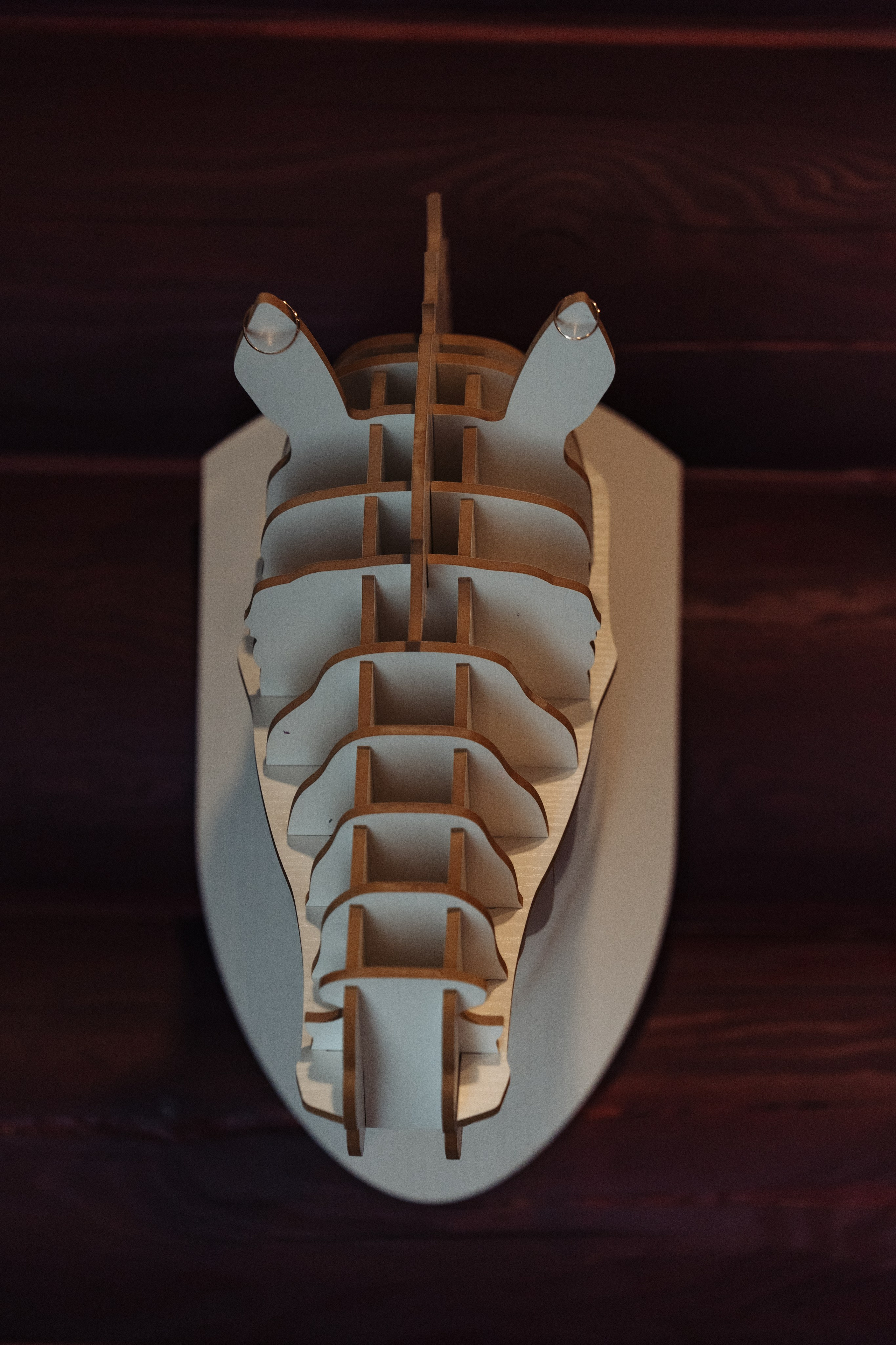 Д & A. Свадебный фотограф  Ростов-на-Дону Моска, Санкт — Петербург