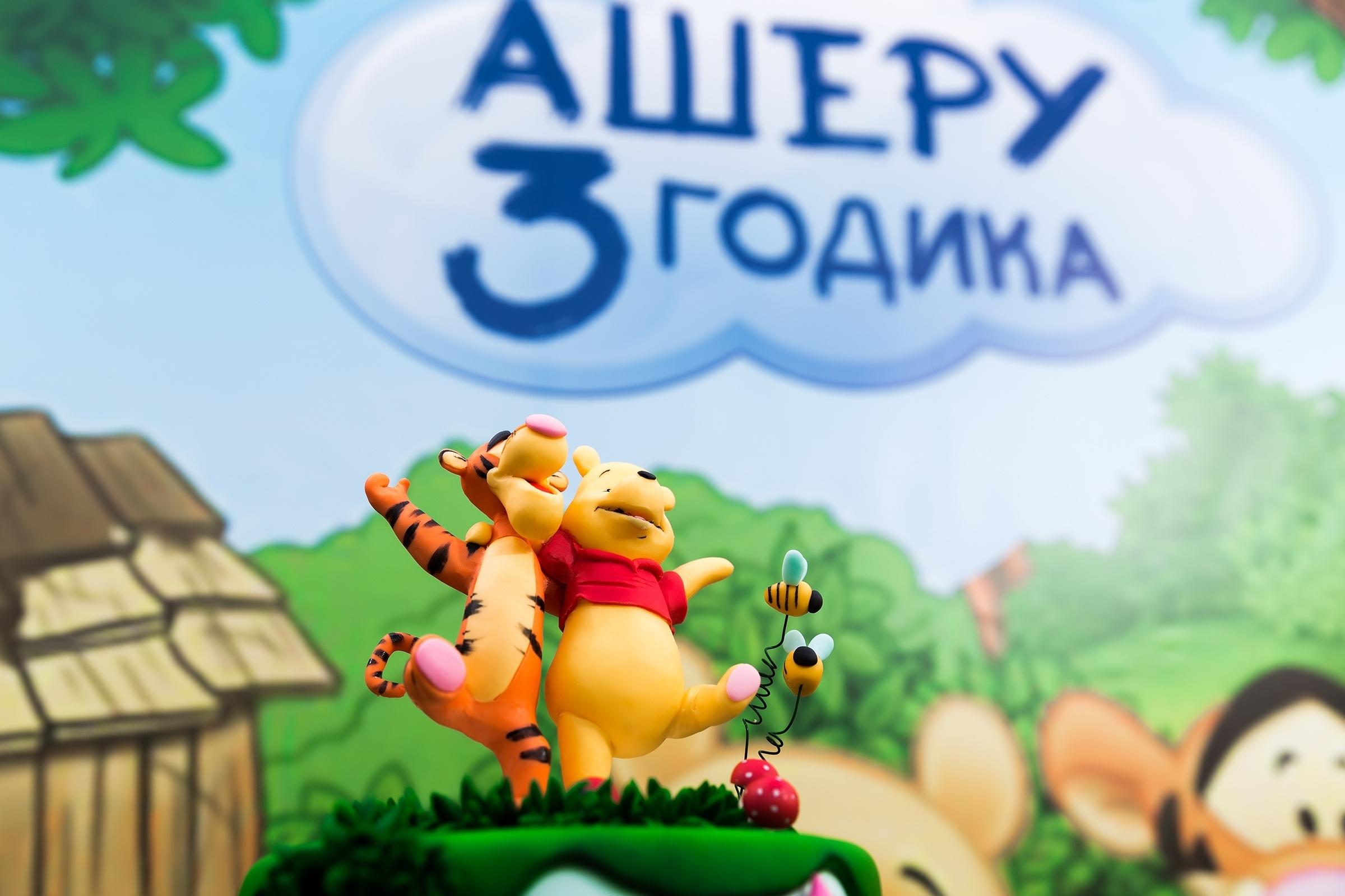 Корпоративы, дни рождения, юбилеи, крещение. Свадебный фотограф  Пятигорск, Сочи, Ессентуки, Кисловодск Александр