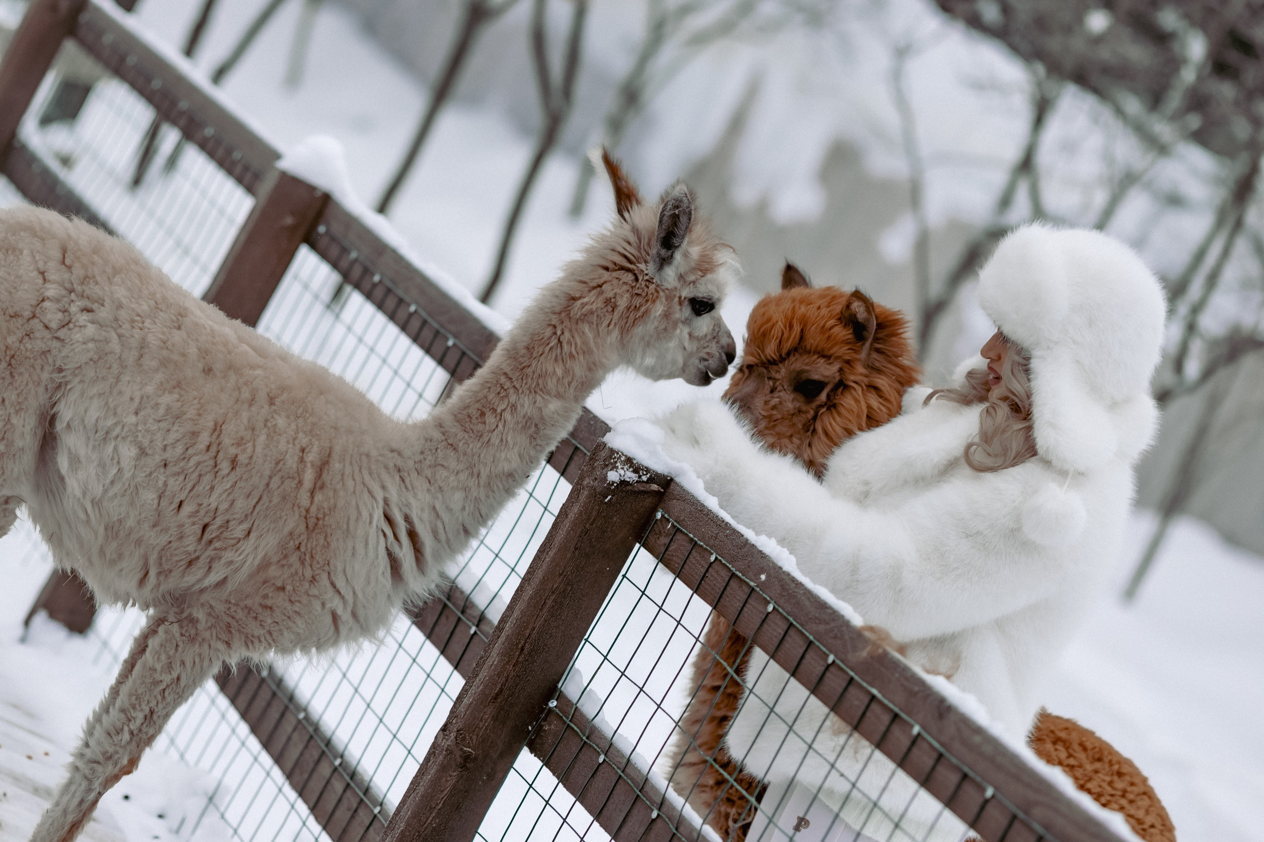 Алина. Детский и семейный фотограф Евгения Вахнеева Москва Зеленоград