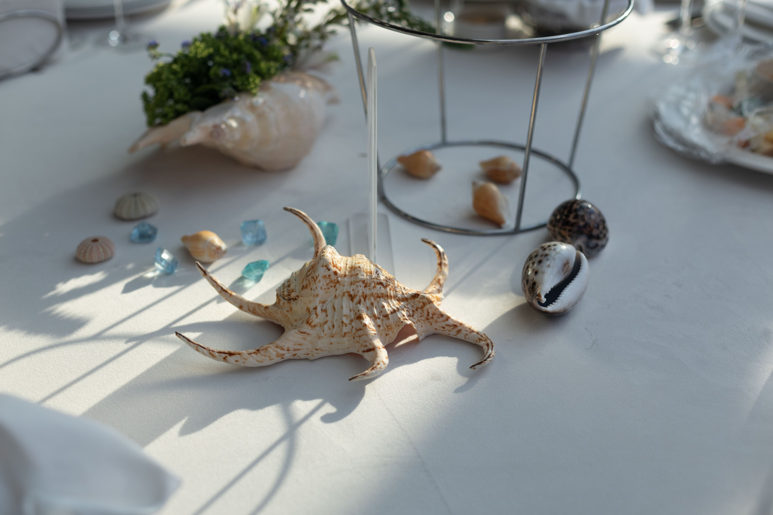 Dubai Vibes Intourist Cruise Party. Семейный и детский фотограф Анна Петракова