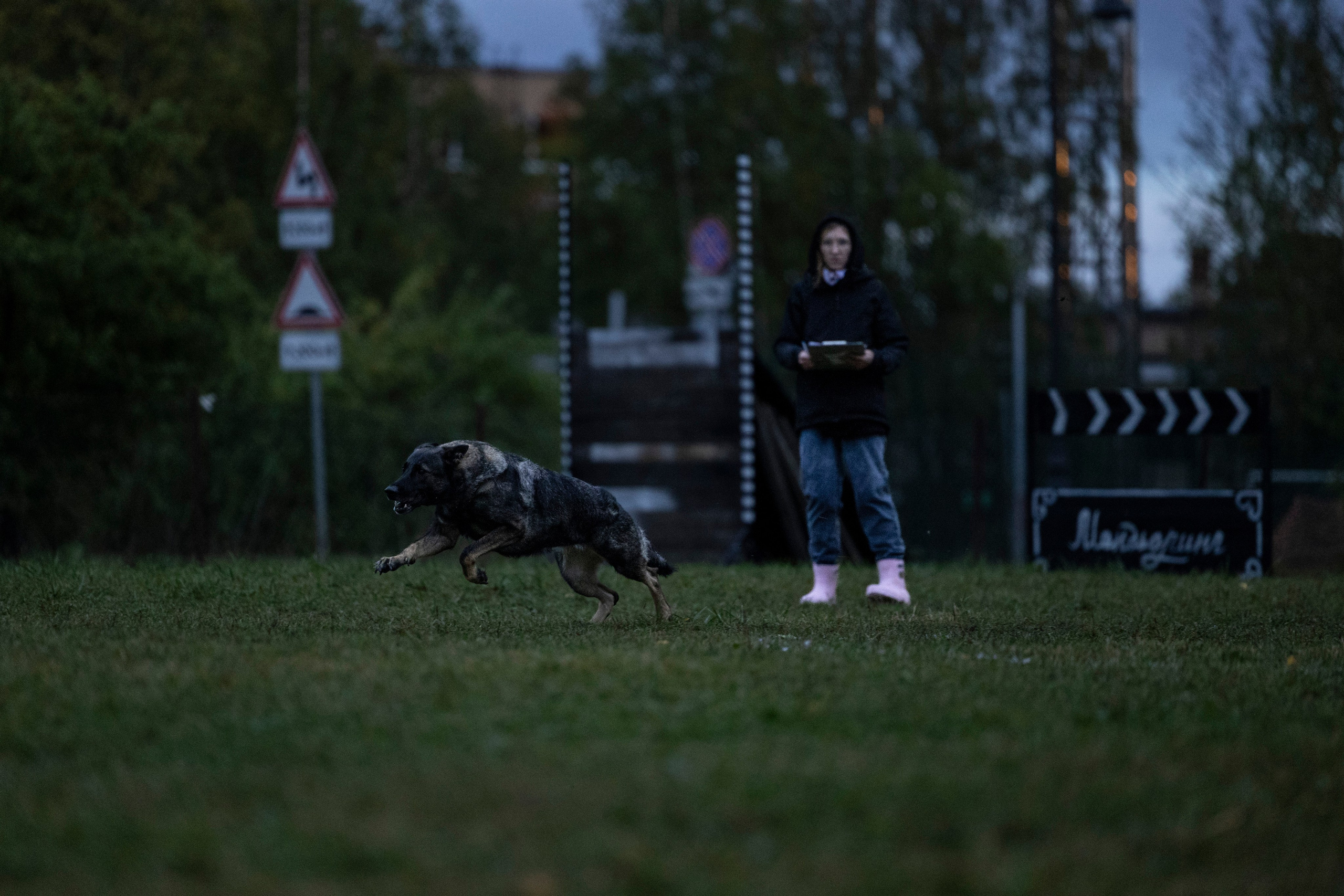 Испытания по Мондьорингу г. Пушкин. Фотограф-анималист Анна Маринич