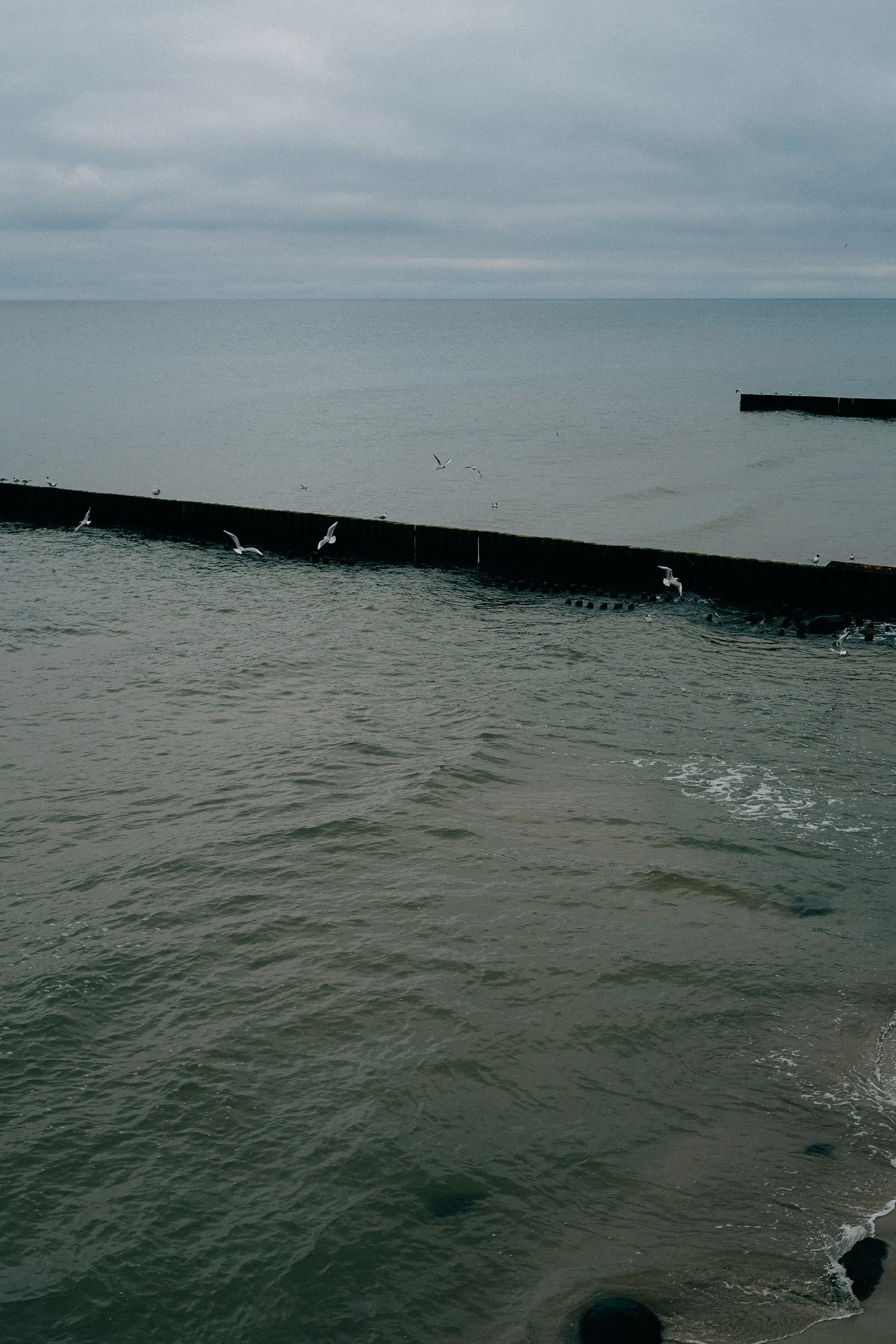 Zelenogradsk. Фотограф София Комкина