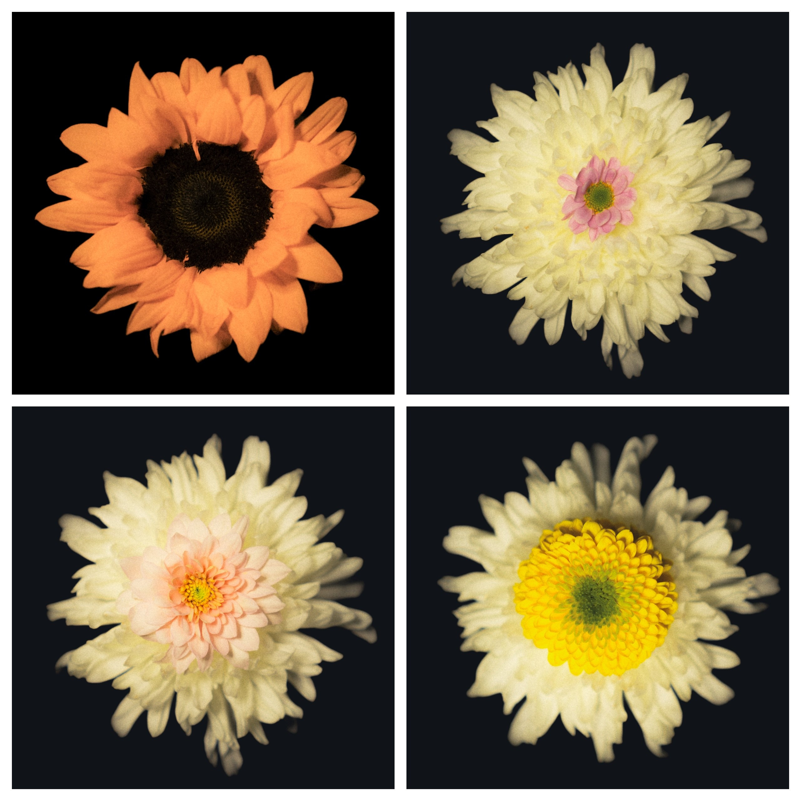 Единство (серия). Мистические фотосессии в Санкт-Петербурге от мистика Ильи Шенгелия