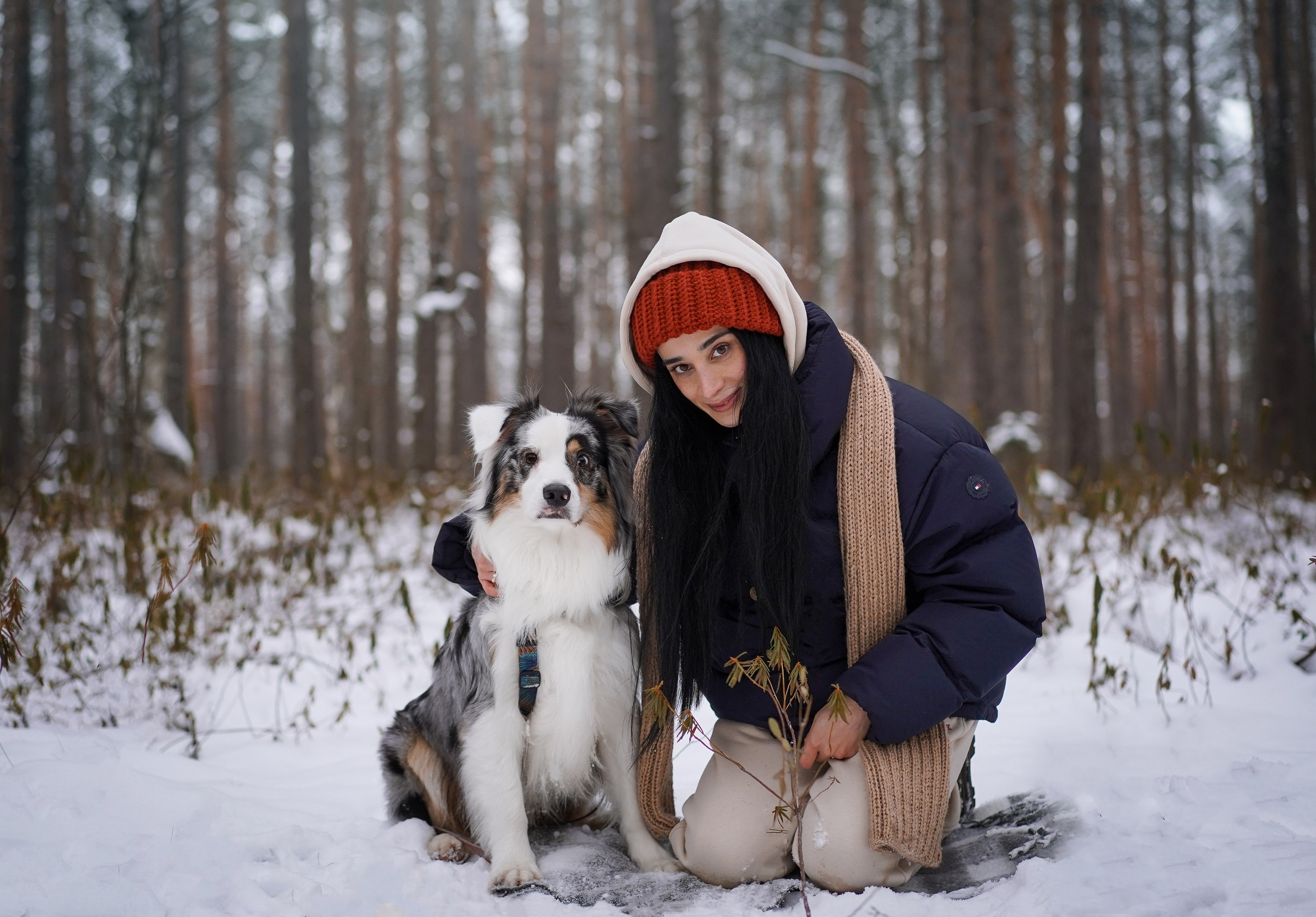 Антон Аиша и Римус. Фотограф-анималист в Санкт-Петербурге Яна Мартынова