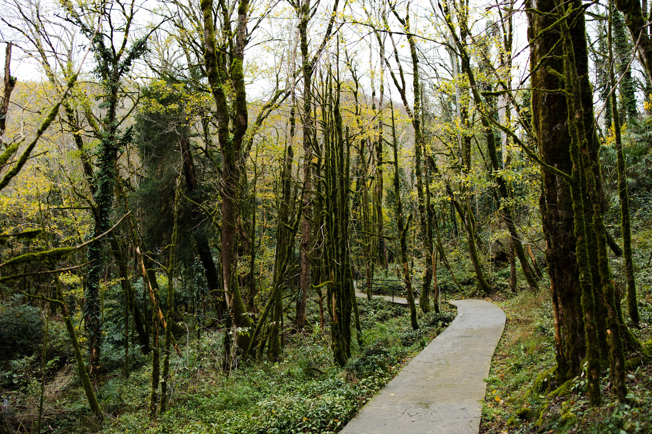 Сочи в декабре. Портретный фотограф в Санкт-Петербурге