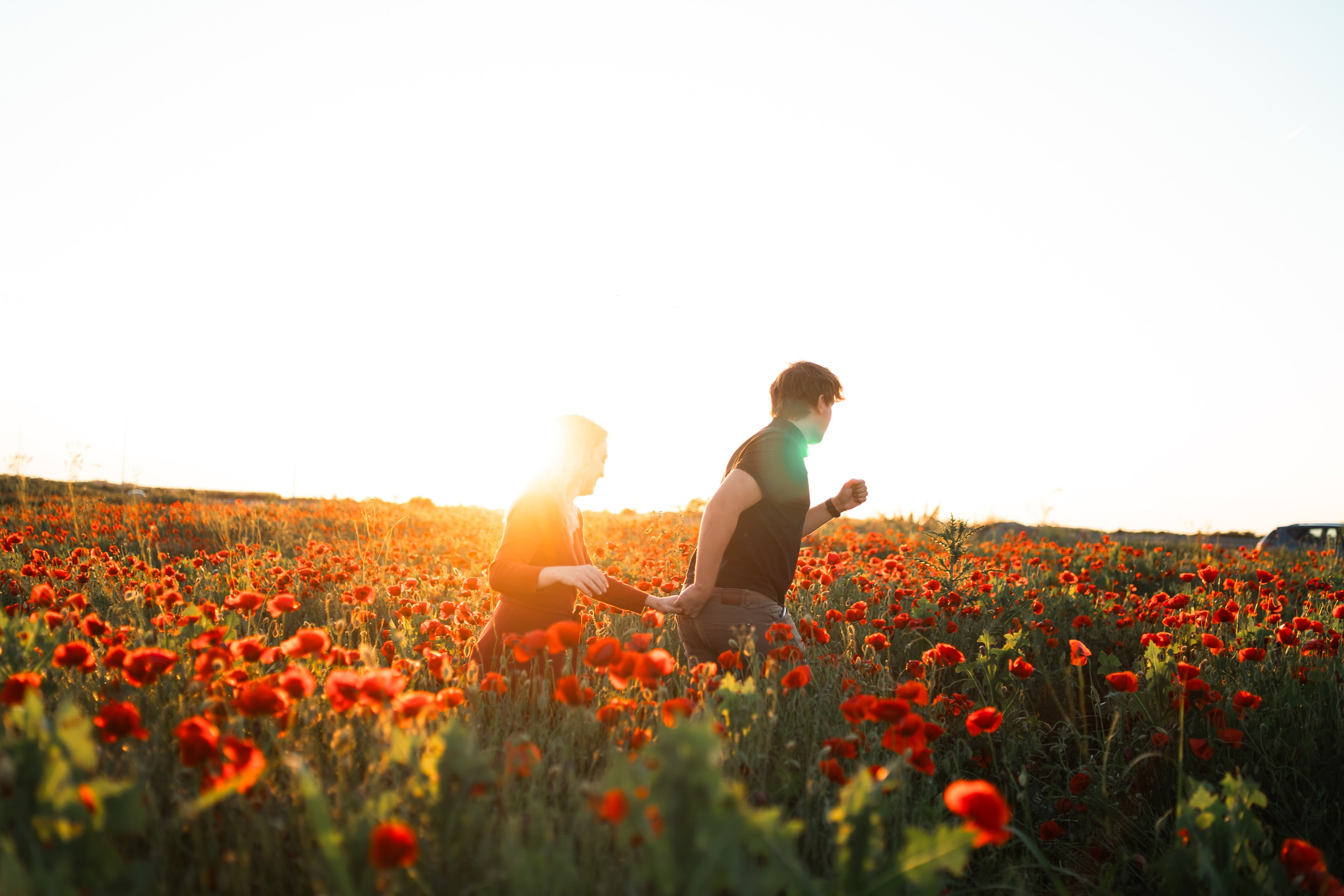 Маковое поле. Фотограф анималист