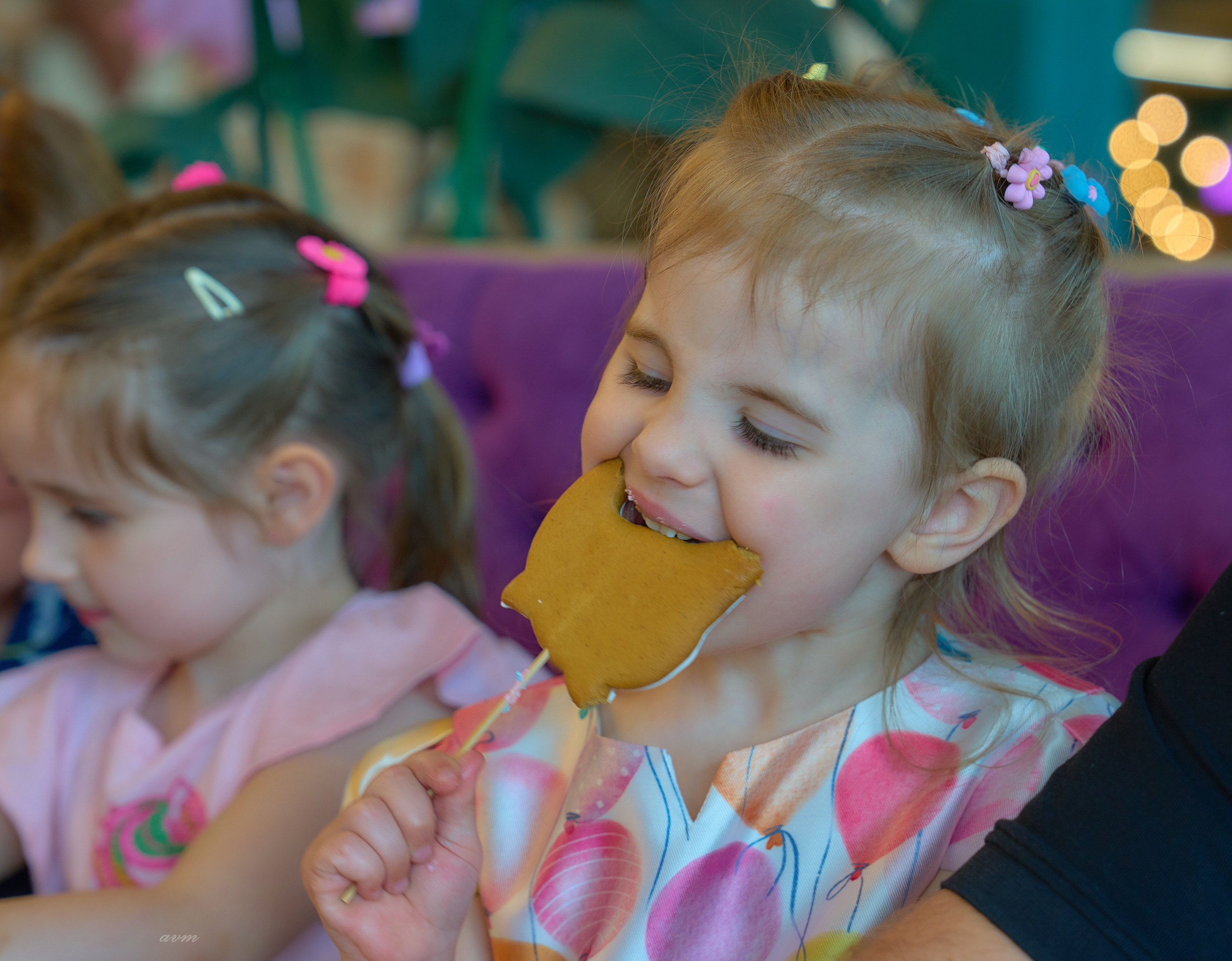 День Рождения Полина 2025. Фотограф Михеев Андрей