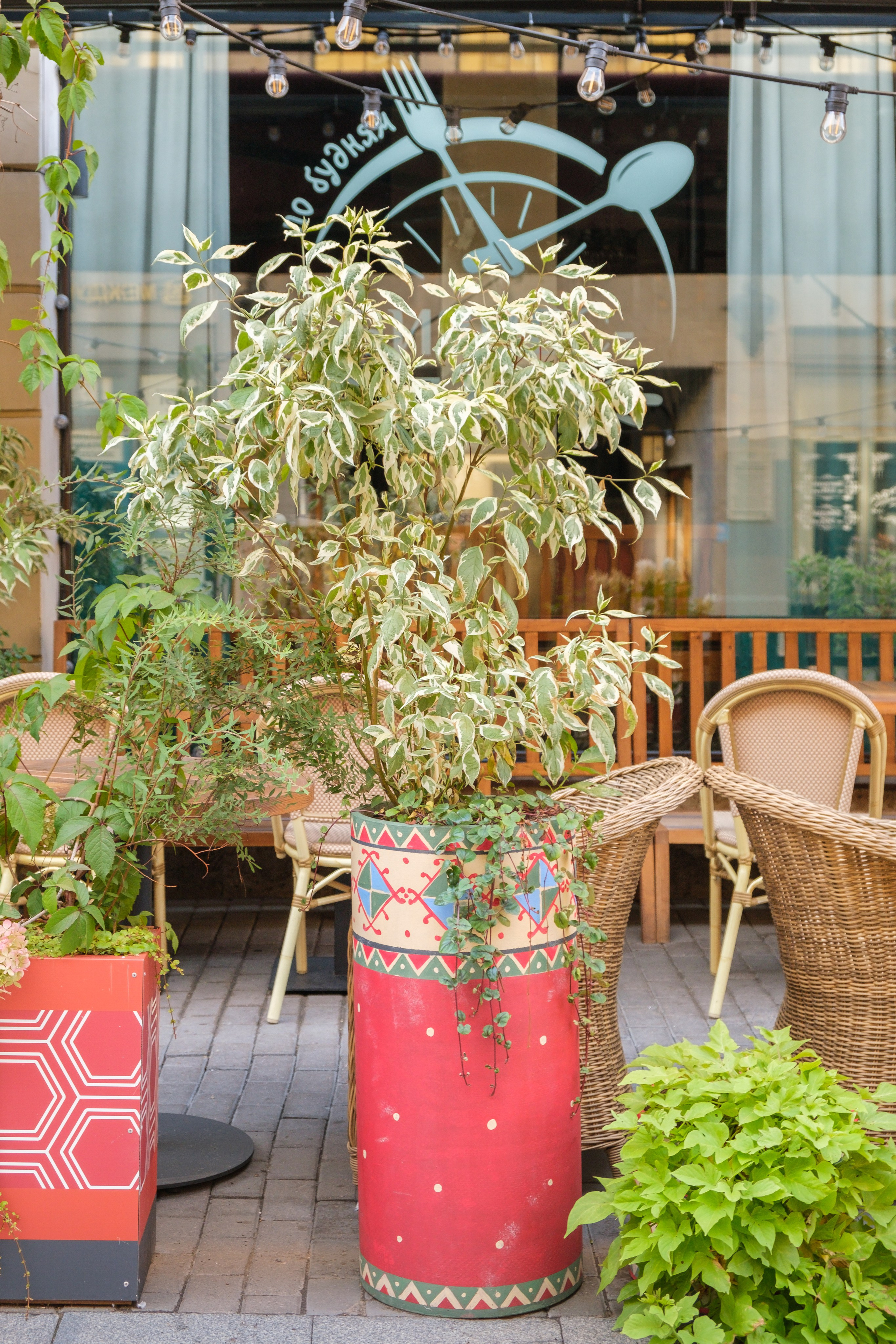 Озеленение