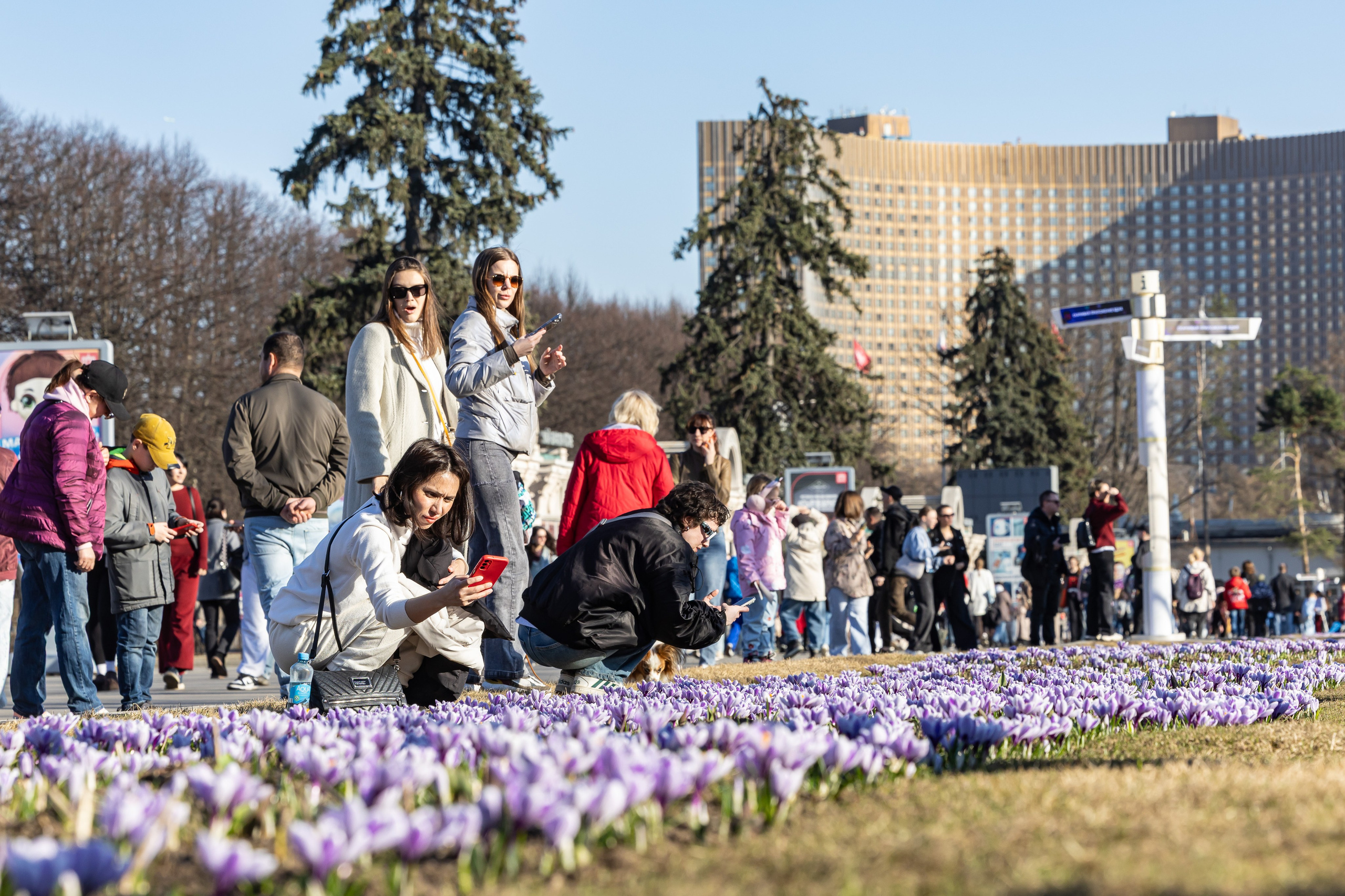Городской пейзаж. Фотограф Владимир Охрименко