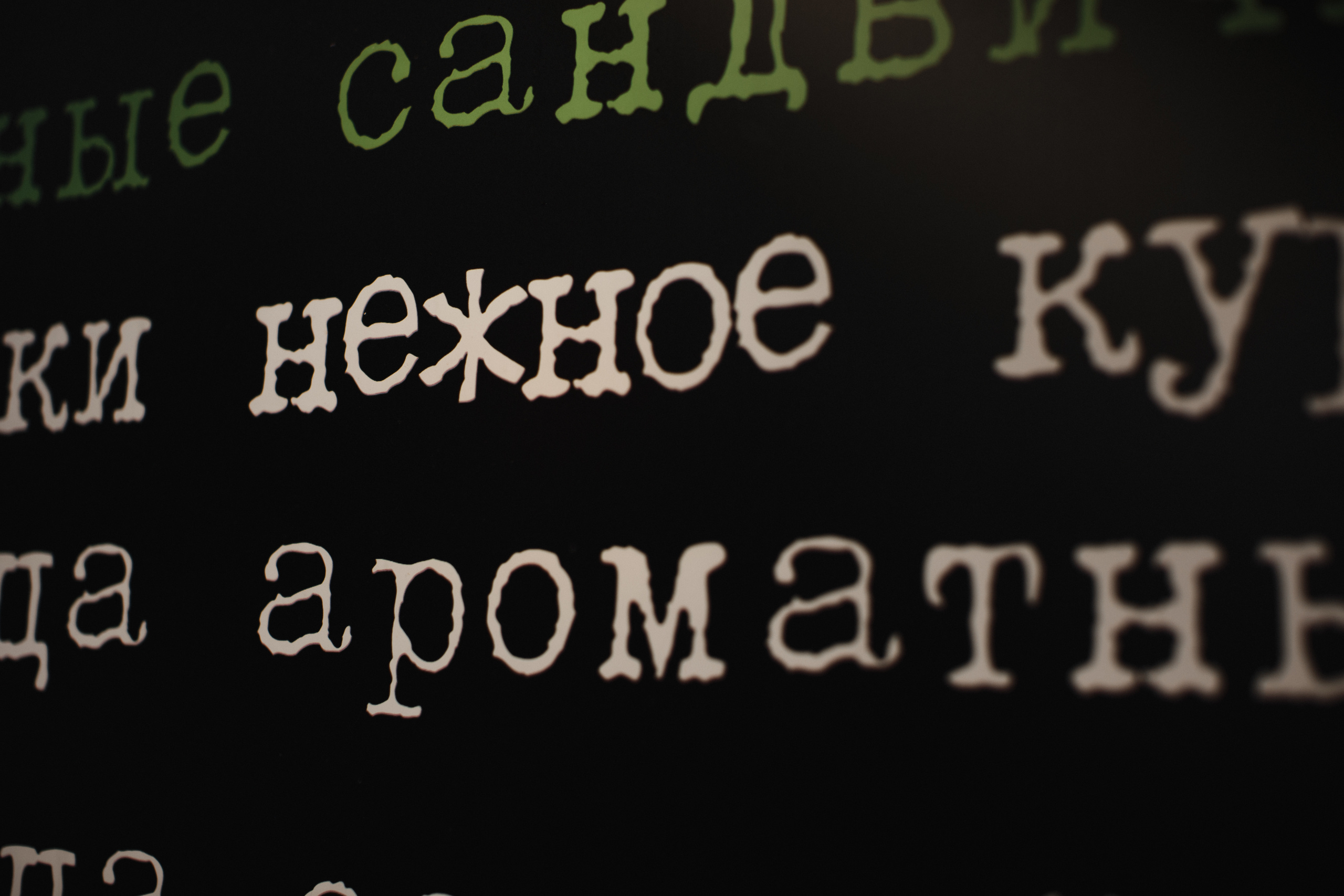 -А можно нам Имперский Марш? — Да меня ж уволят!. Свадебный фотограф в Москве и Балашихе