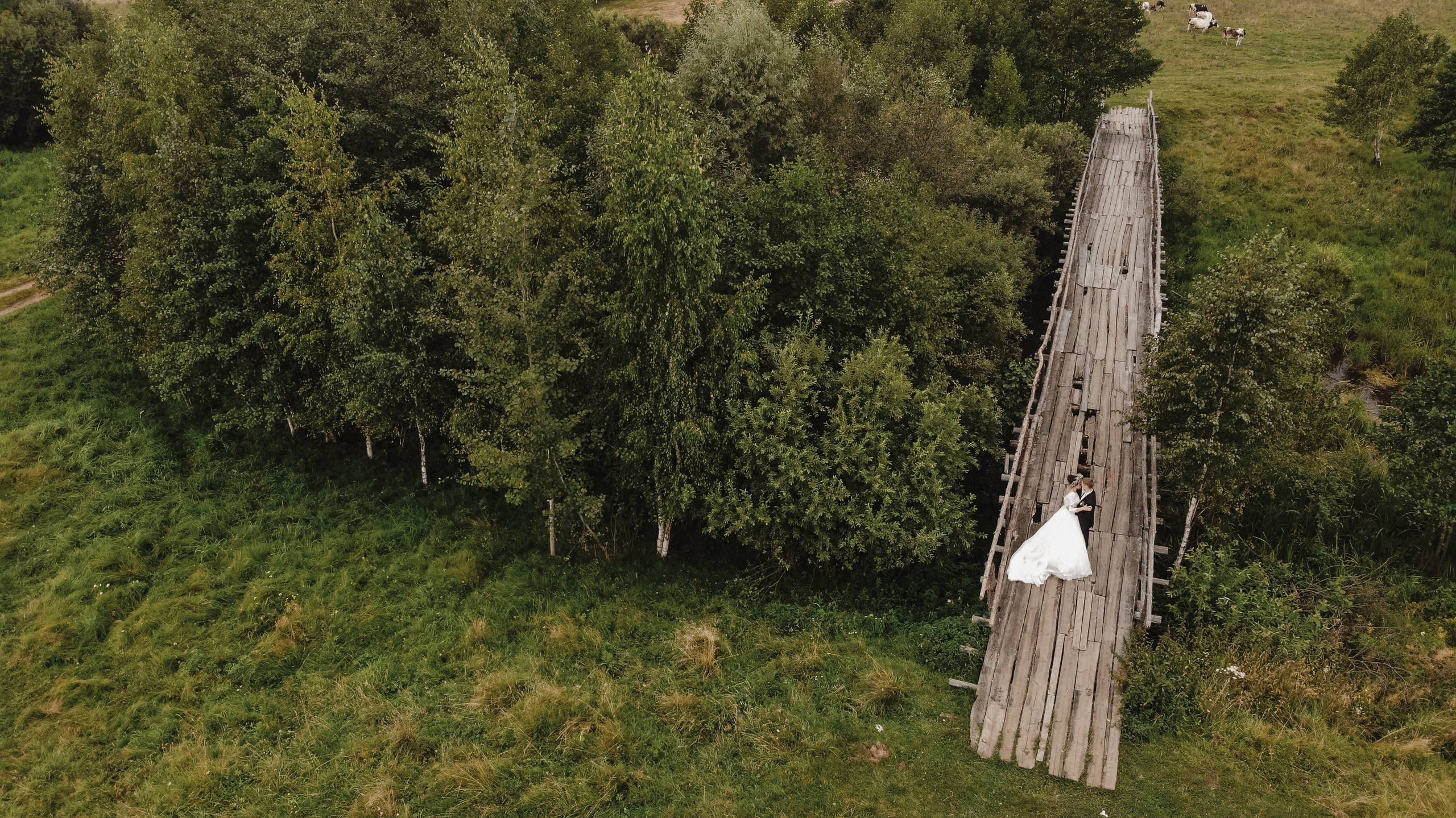 -А можно нам Имперский Марш? — Да меня ж уволят!. Свадебный фотограф в Москве и Балашихе
