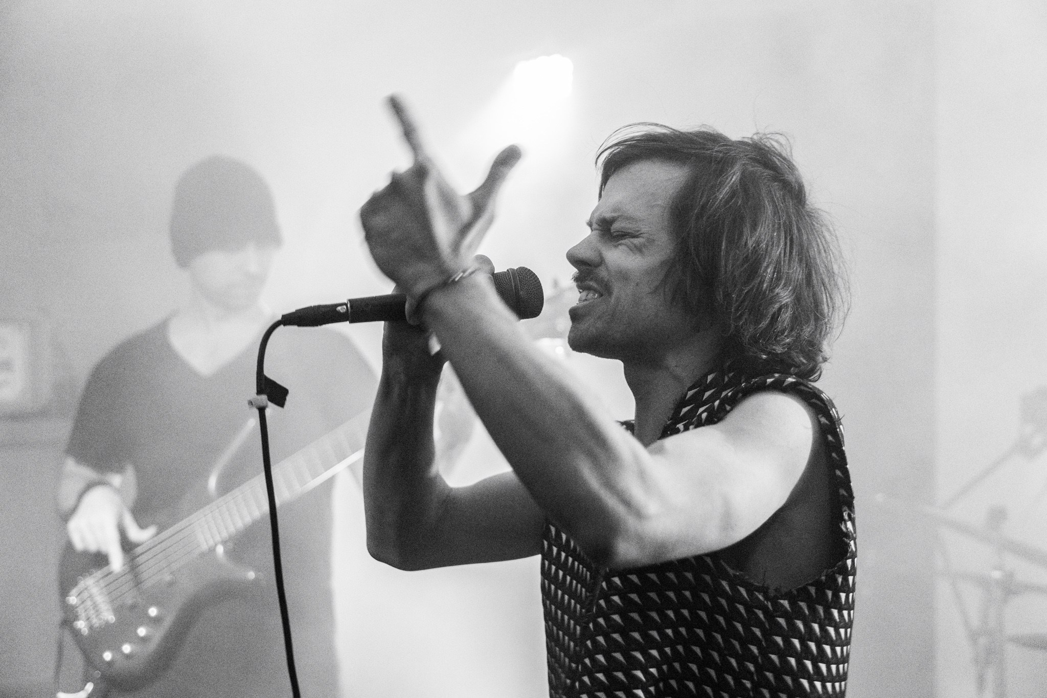 Змееед, Apodemus, 20.12.25, TAGO)))MAGO)))