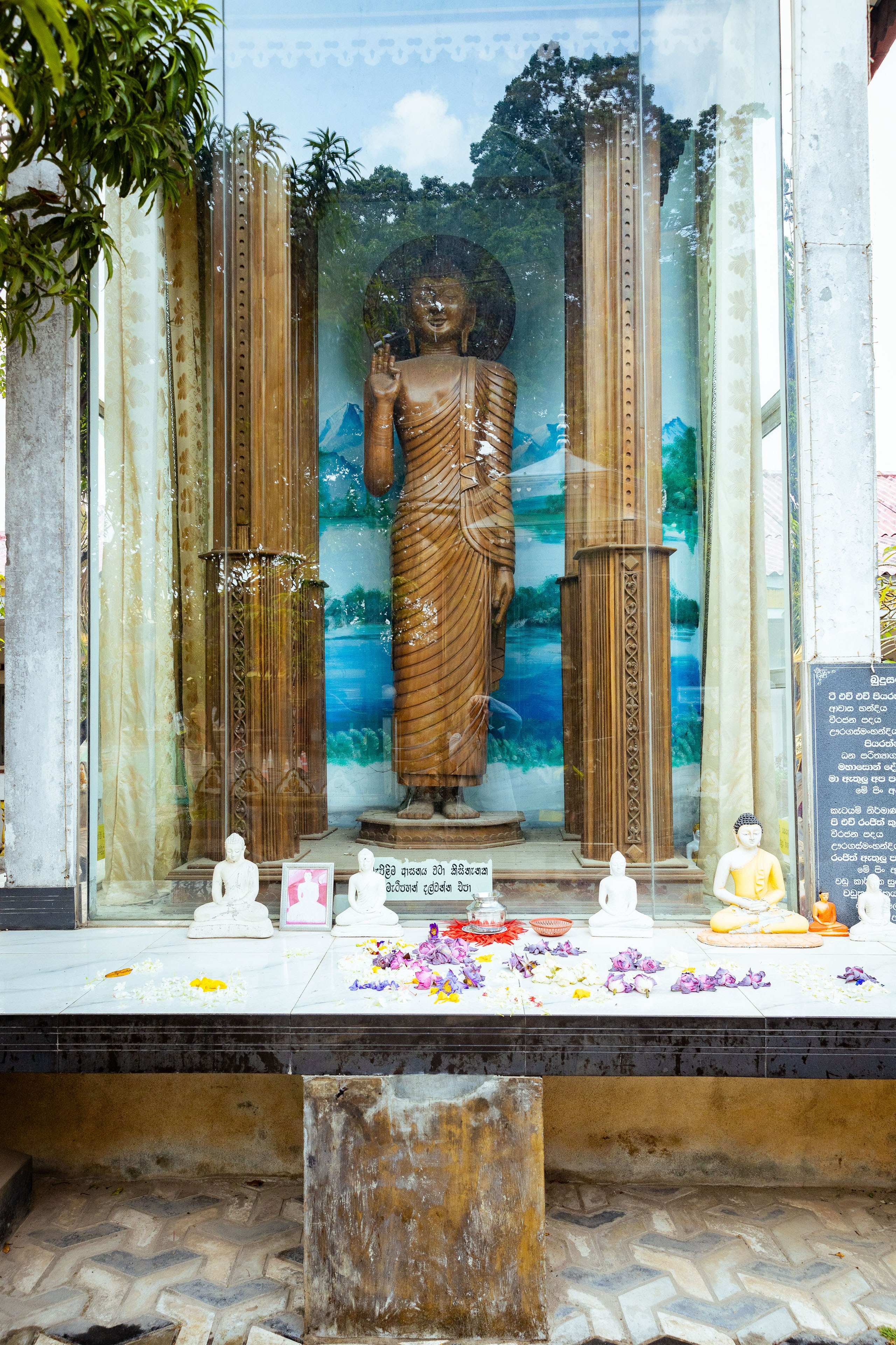 Шри-Ланка (весна 2024). Фотограф Виноградов Константин