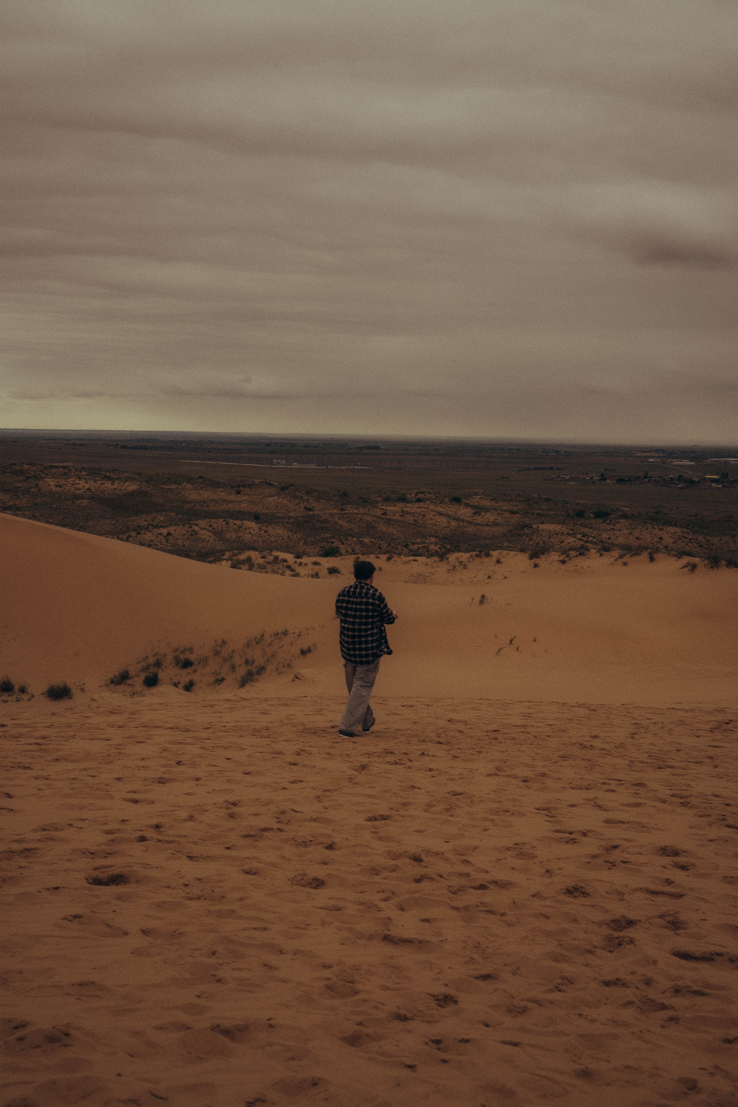 Барханы. Профессиональный фотограф, Санкт-Петербург — Виктория Богомолова