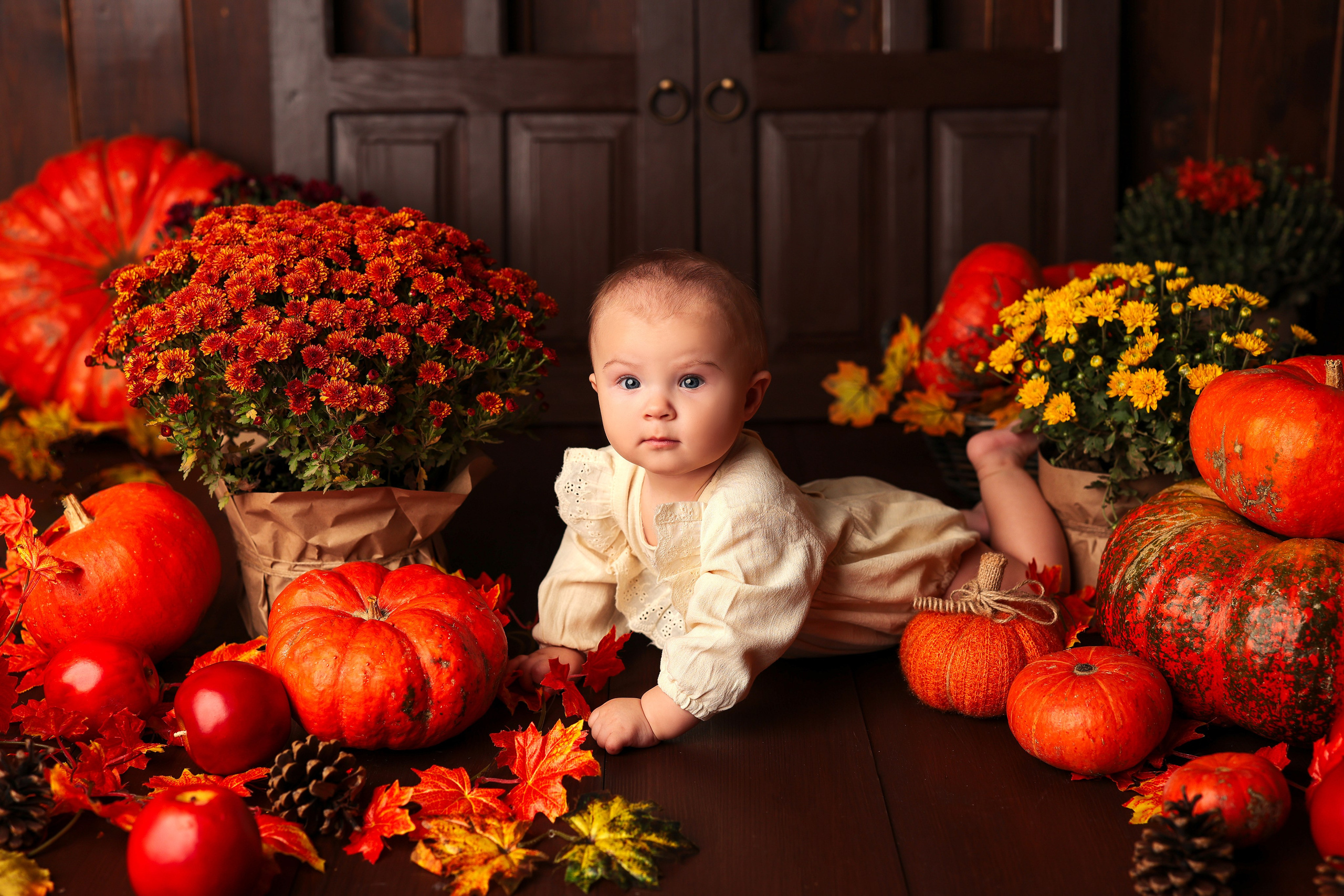 Студия Мандаринка