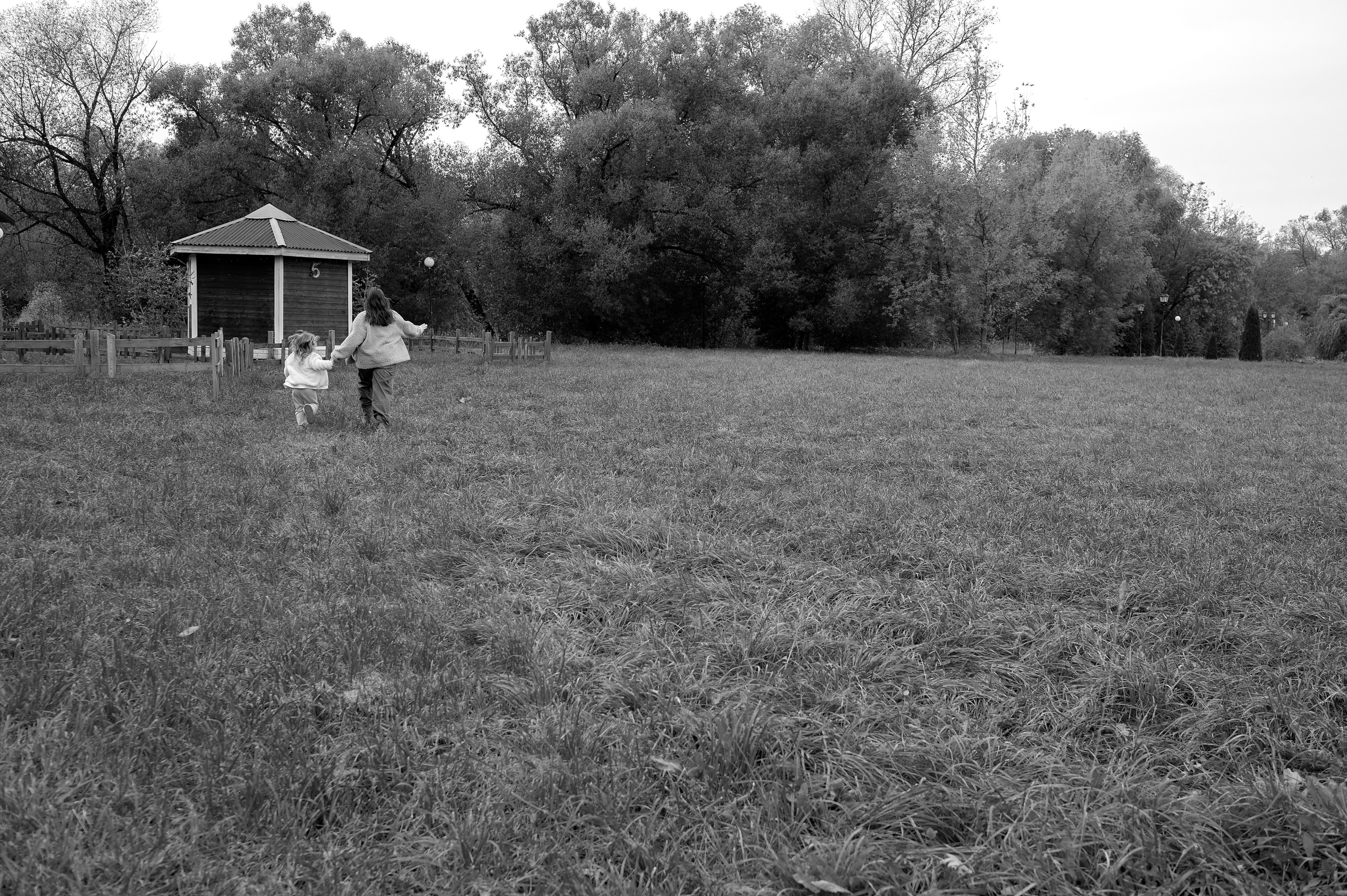 Настя и Васса. Свадебный и семейный фотограф в Серпухове Александра Дерюшева