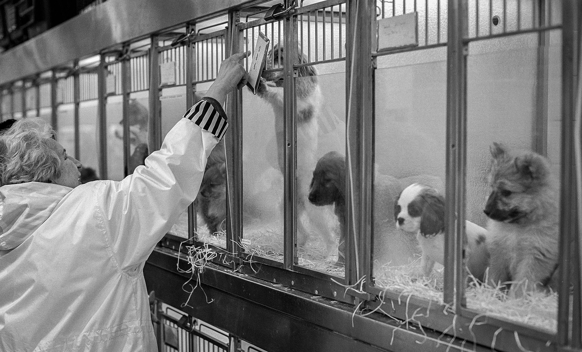 Свадебный фотограф в Геленджике