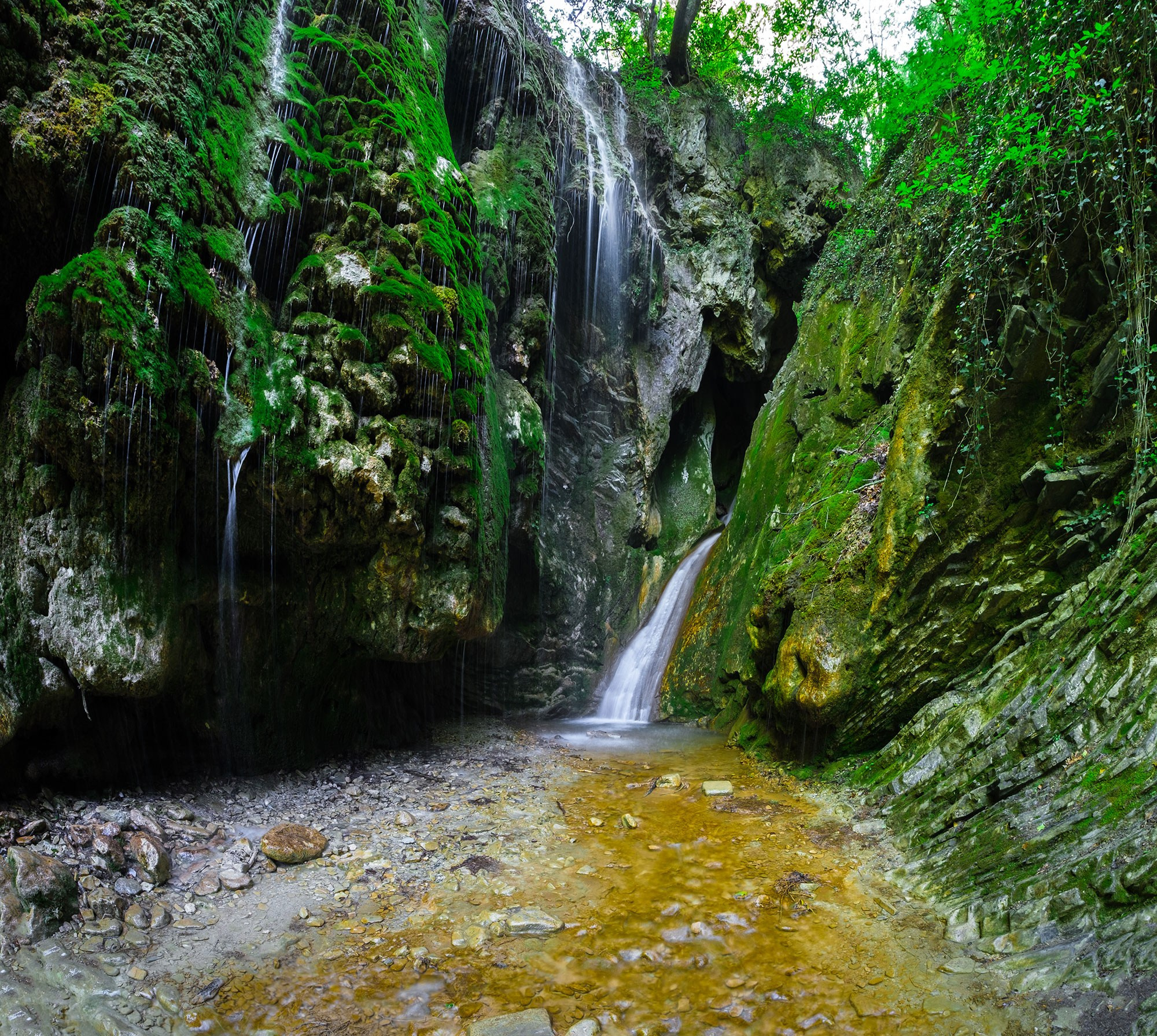 Свадебный фотограф в Геленджике