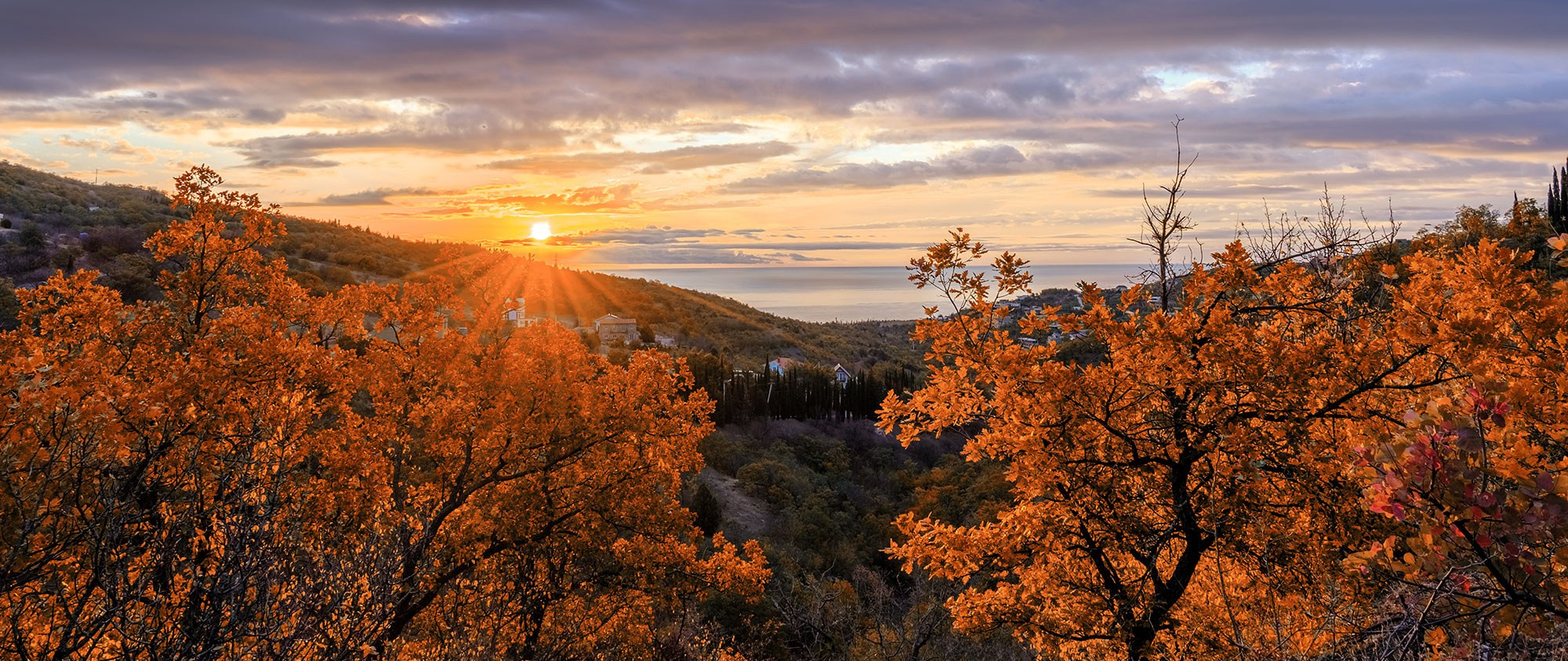 «Золотая осень в Крыму 2025»