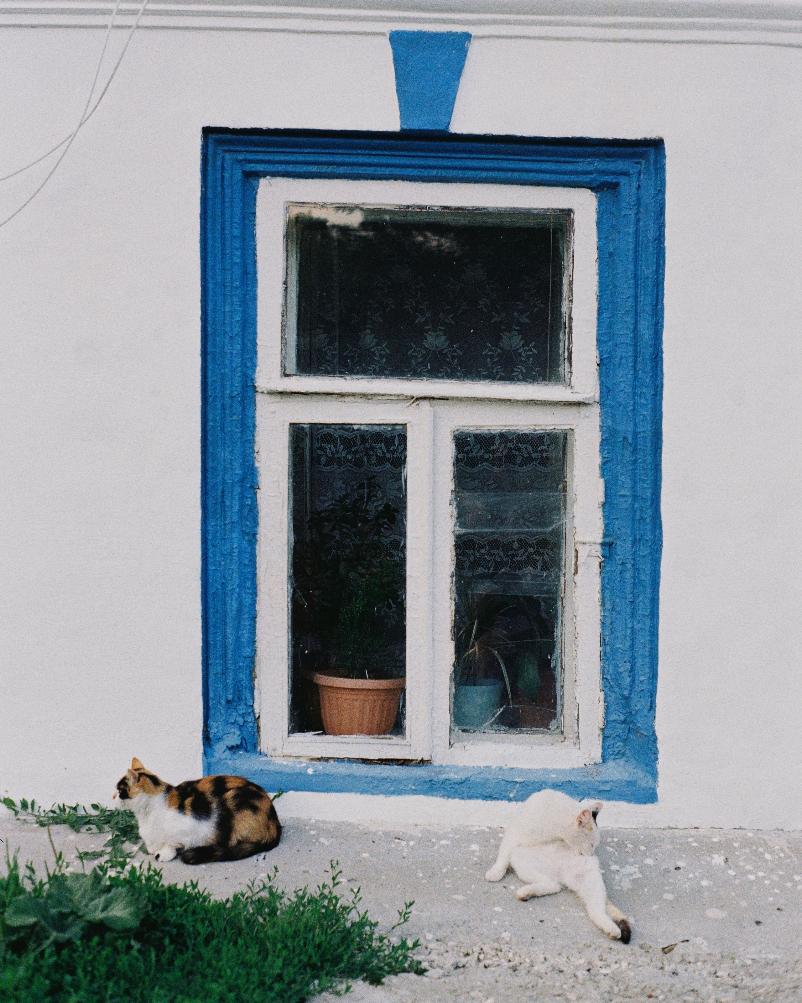 SUZDAL. ANNA — PHOTOGRAPHER