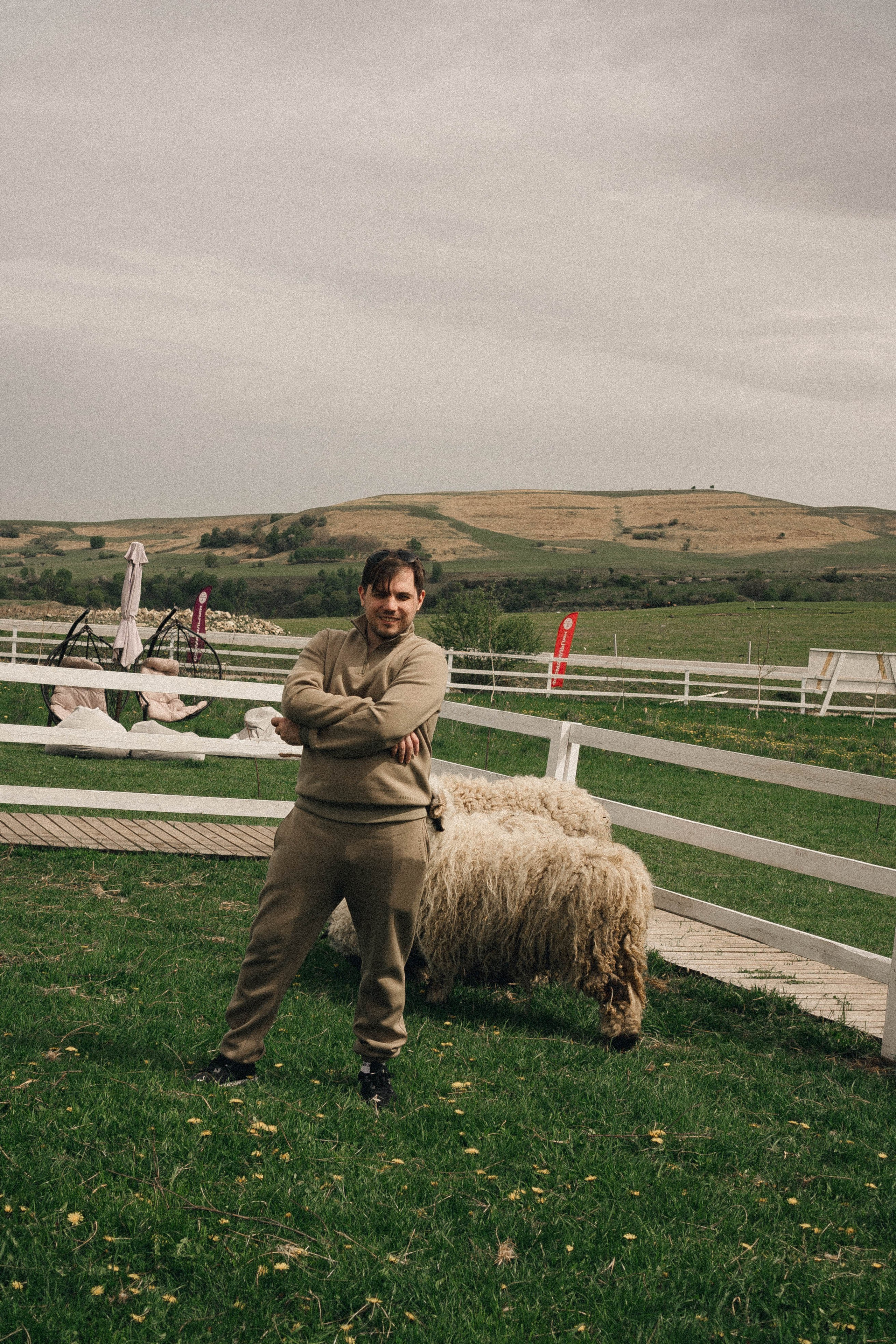 Ферма Альпак. Профессиональный фотограф, Санкт-Петербург — Виктория Богомолова