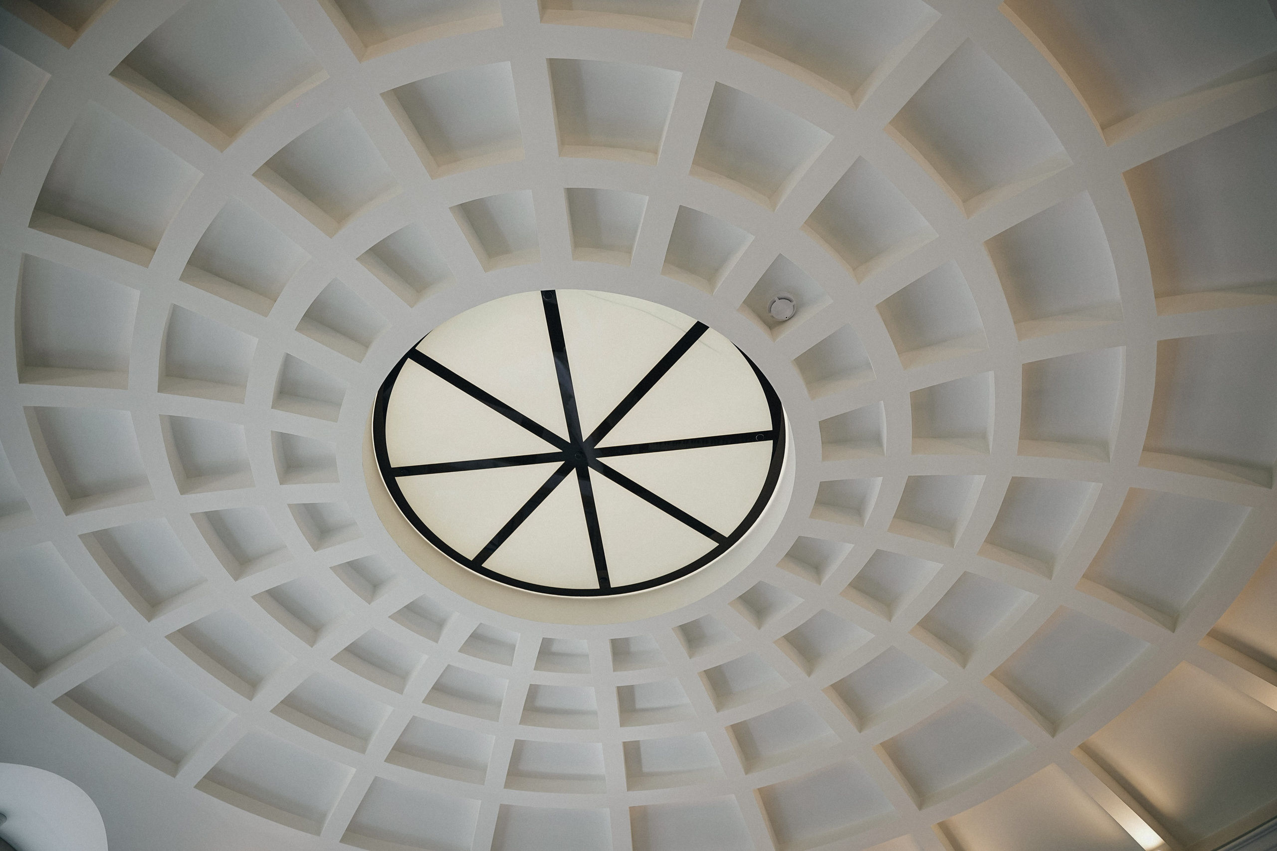 Д&А. Свадебный фотограф AllexD в Москве, Санкт-Петербурге