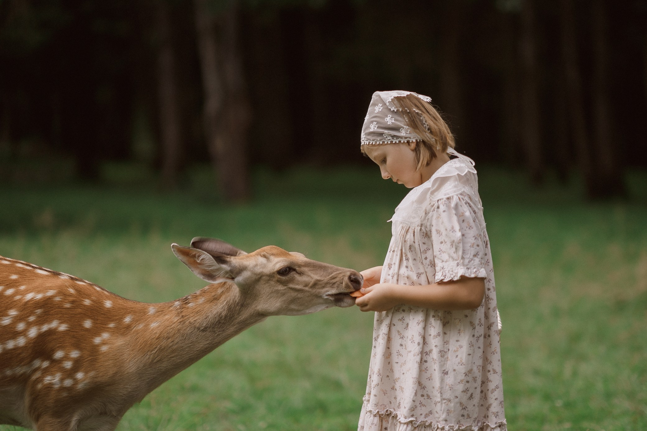 Фотосессия с оленями. Семейный и детский фотограф в Сергиев Посаде, Хотьково Якимчук Любовь