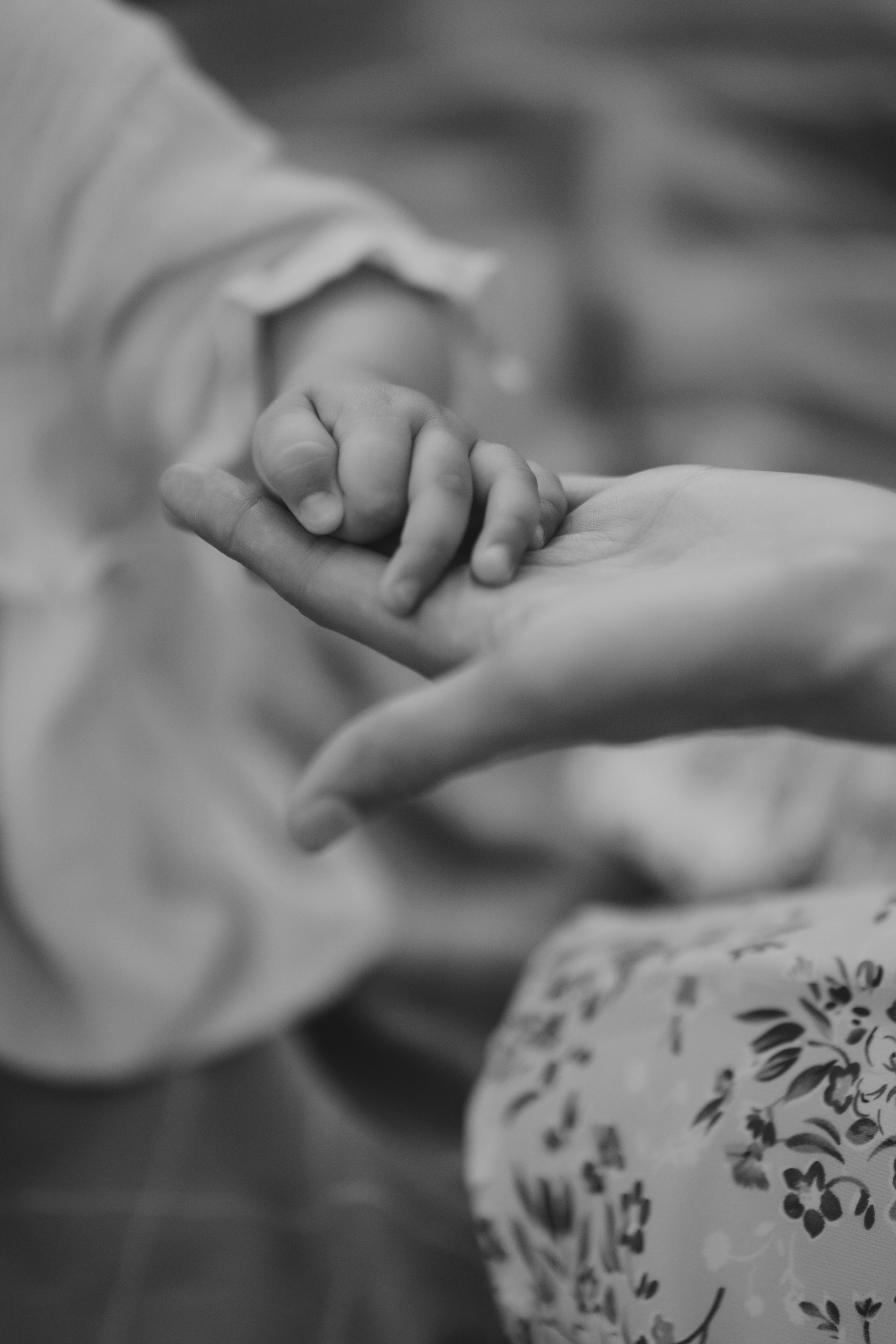 Фотограф Лазаревское