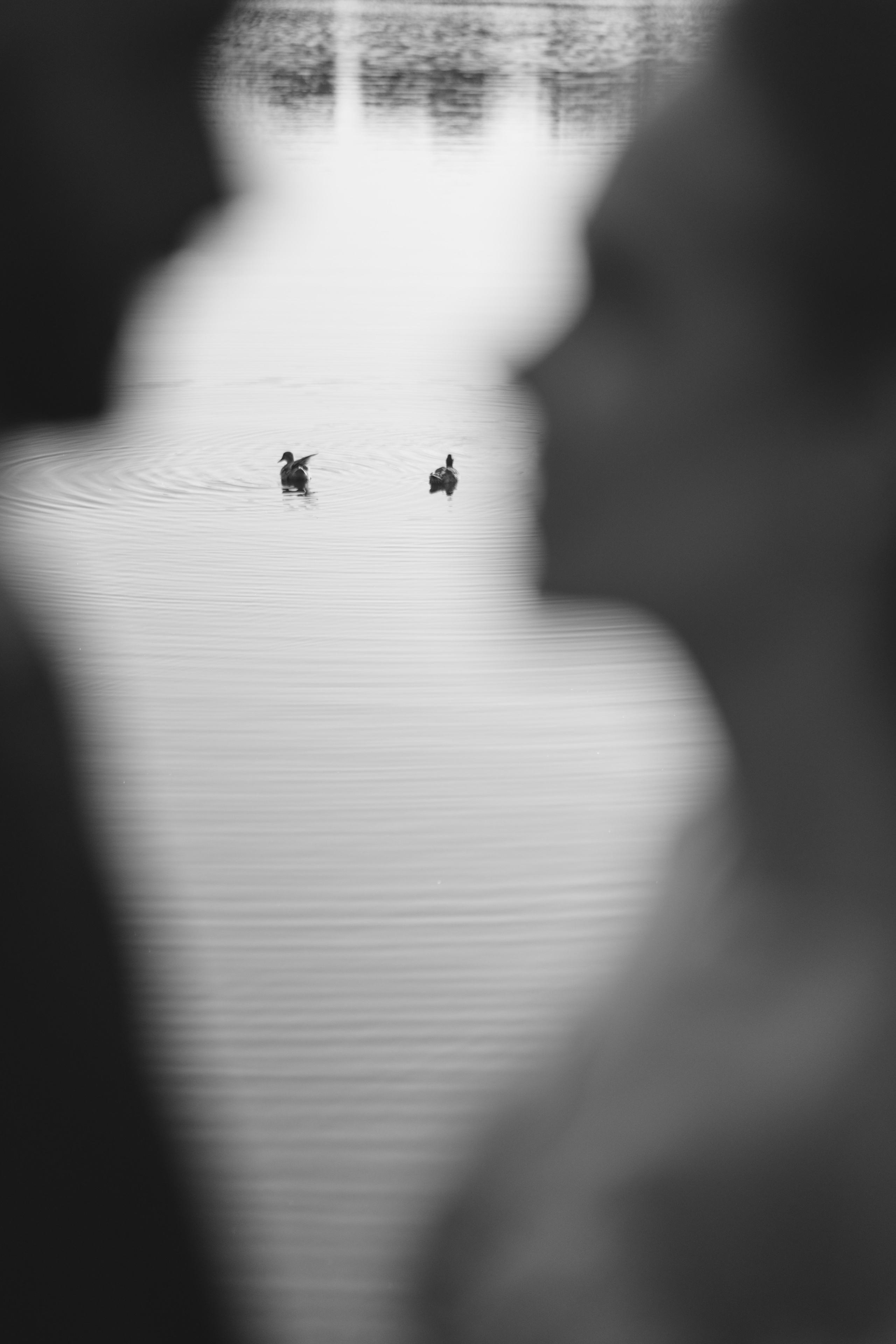 Фотограф Сочи