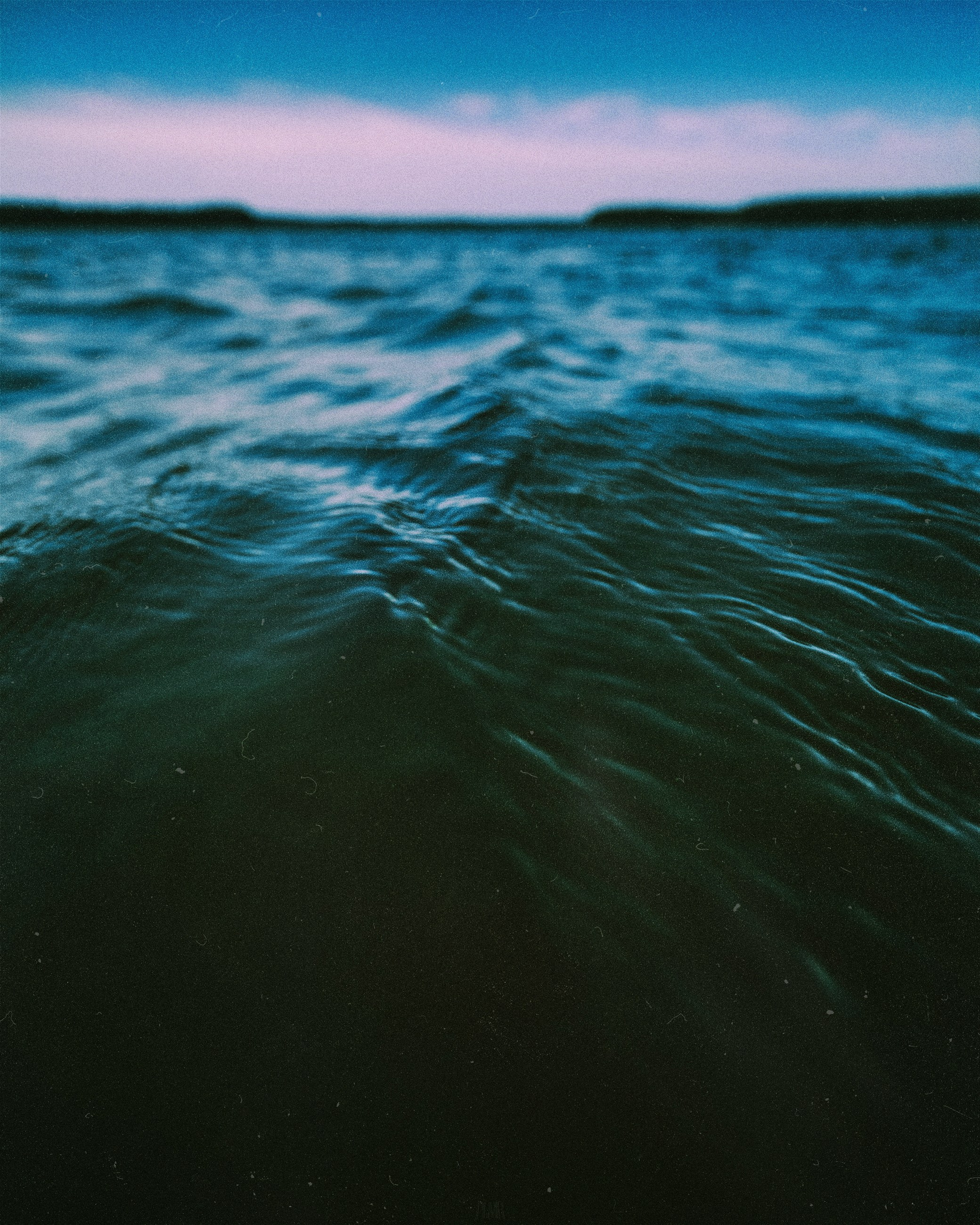 N a t u r e. Your photographer