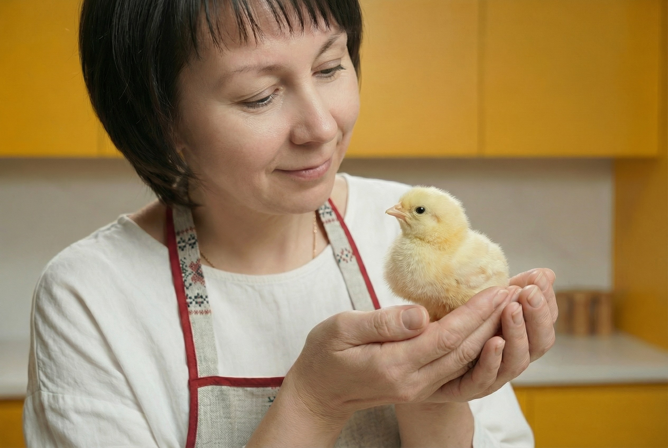 Пряничная фея. Шаблоны и дизайны выпускных альбомов и фотокниг