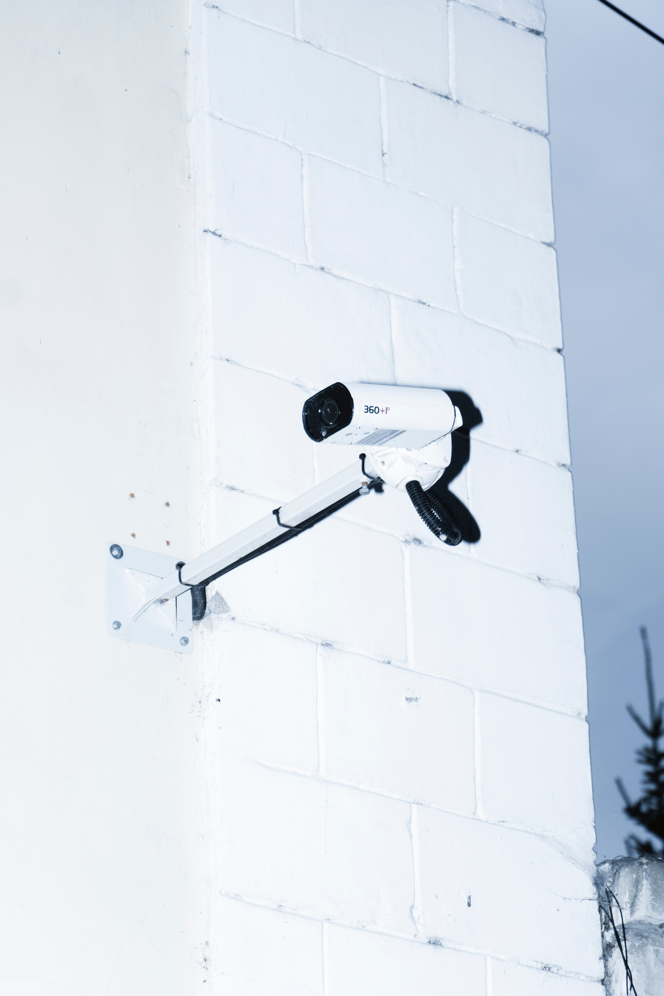 Дима. Фотограф в Хабаровске Денис Shoxie