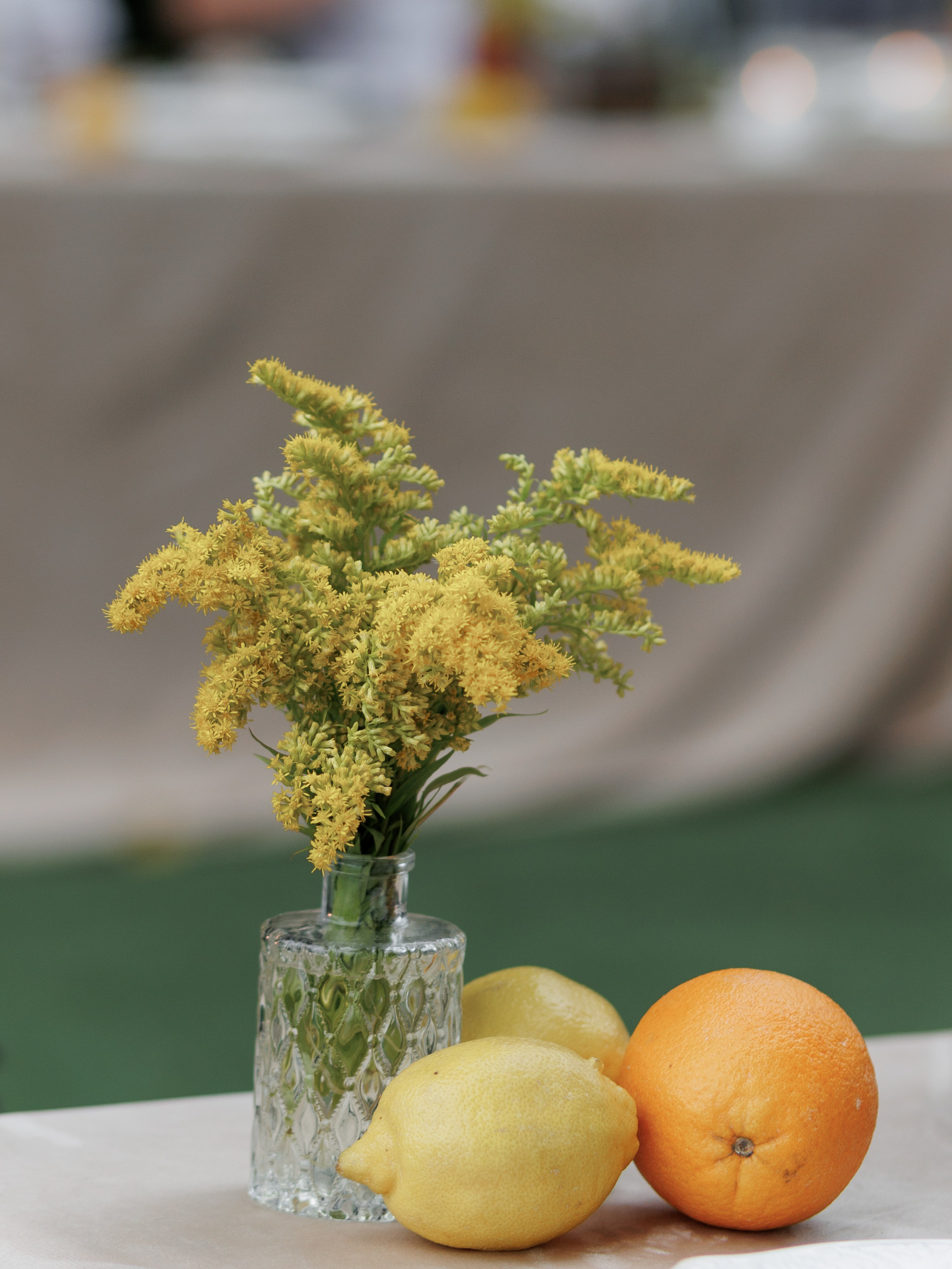День рождения на берегу озера. Свадебный и семейный фотограф в Калининграде Ольга Мешечкова