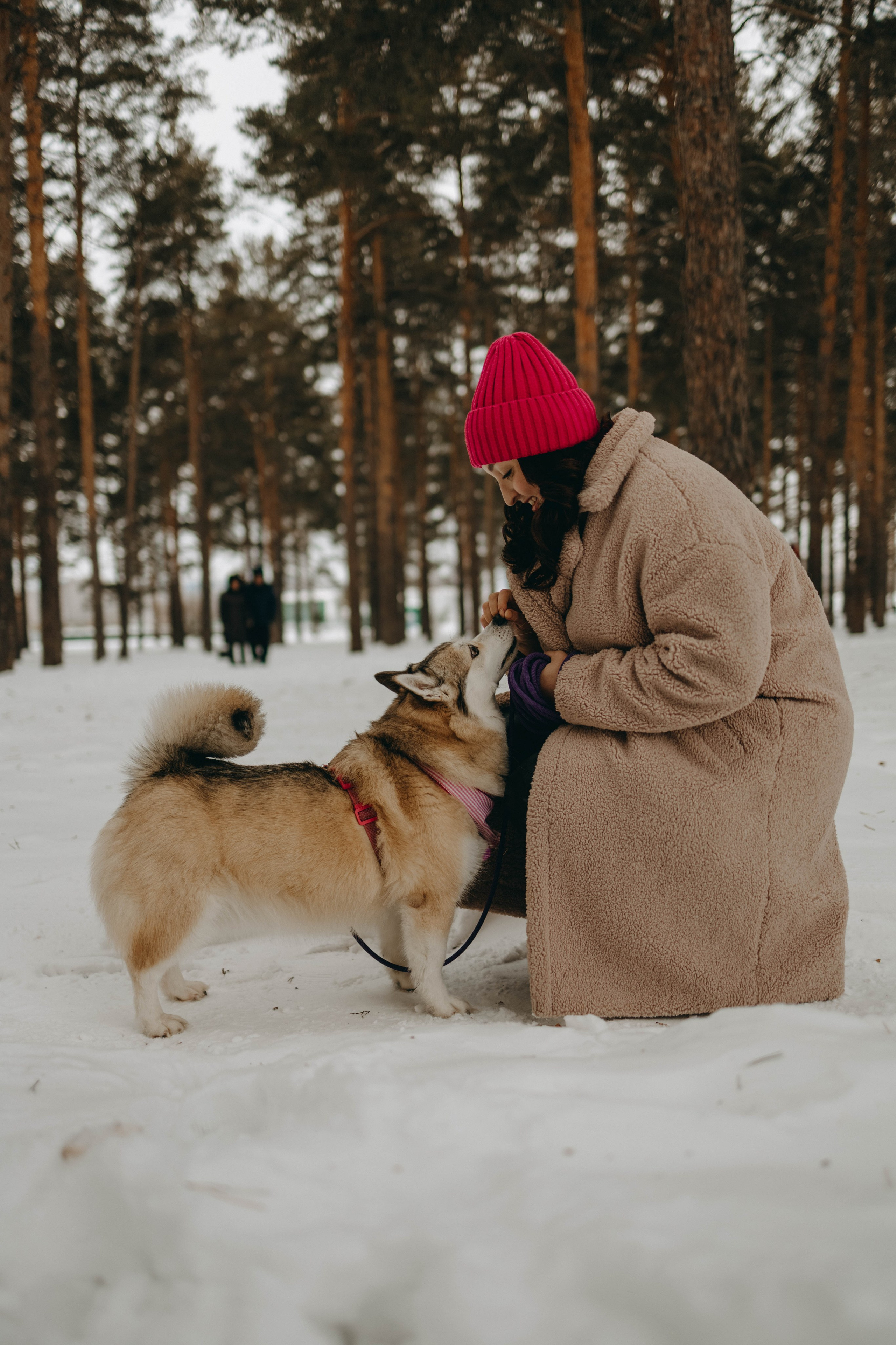 Варвара и Шелби. Фотограф-анималист в Екатеринбурге | Кристина