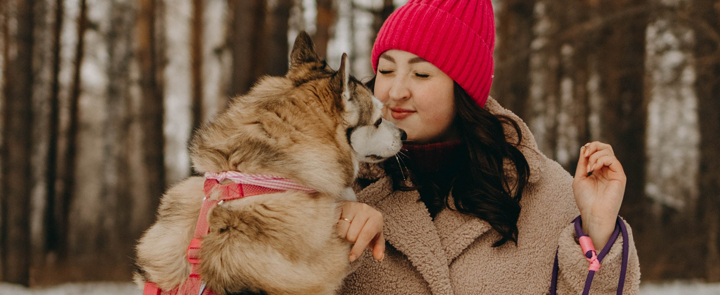 Варвара и Шелби. Фотограф-анималист в Екатеринбурге | Кристина