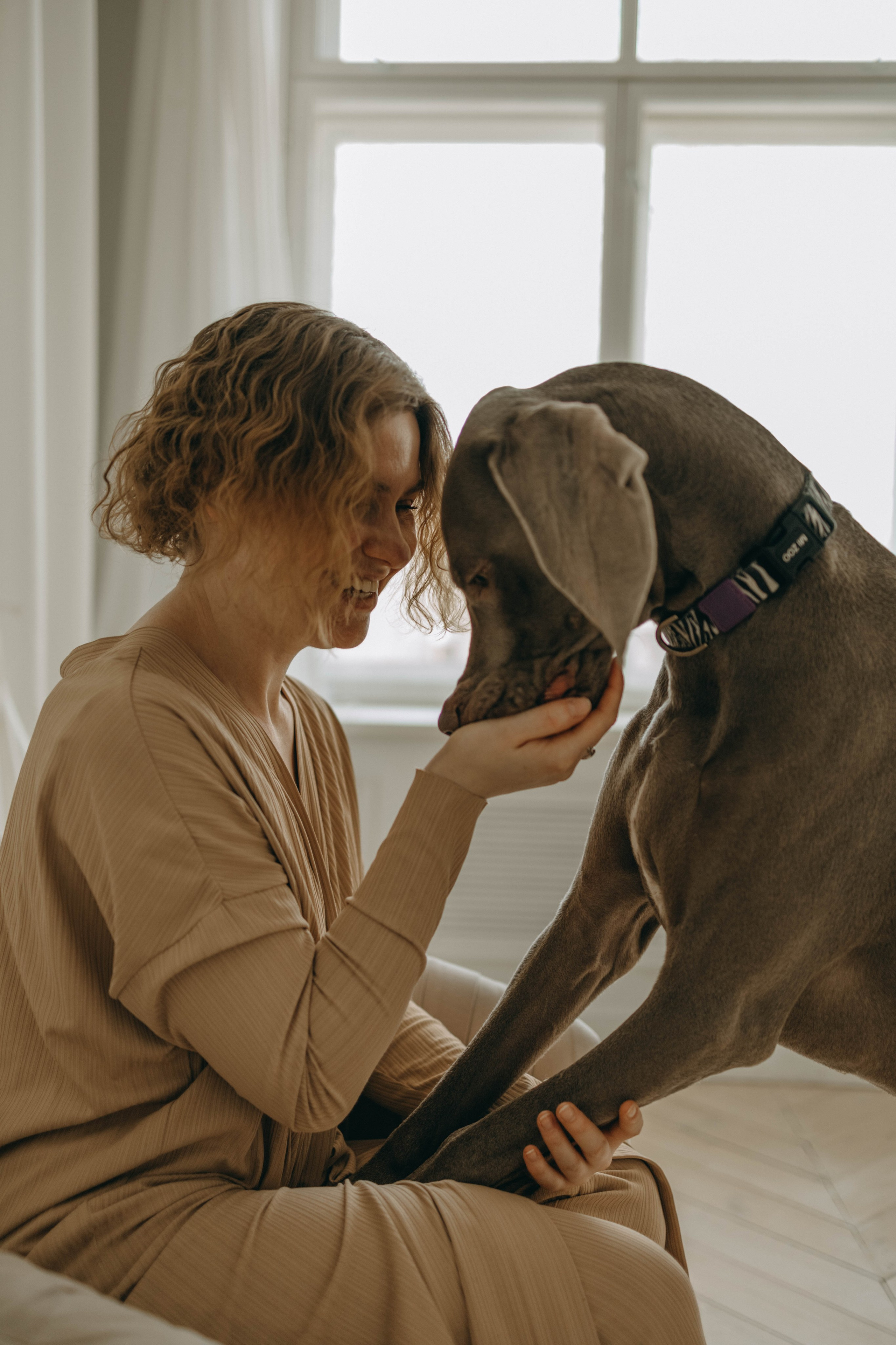 Фотосессия в студии с собакой. Фотограф-анималист в Екатеринбурге | Кристина