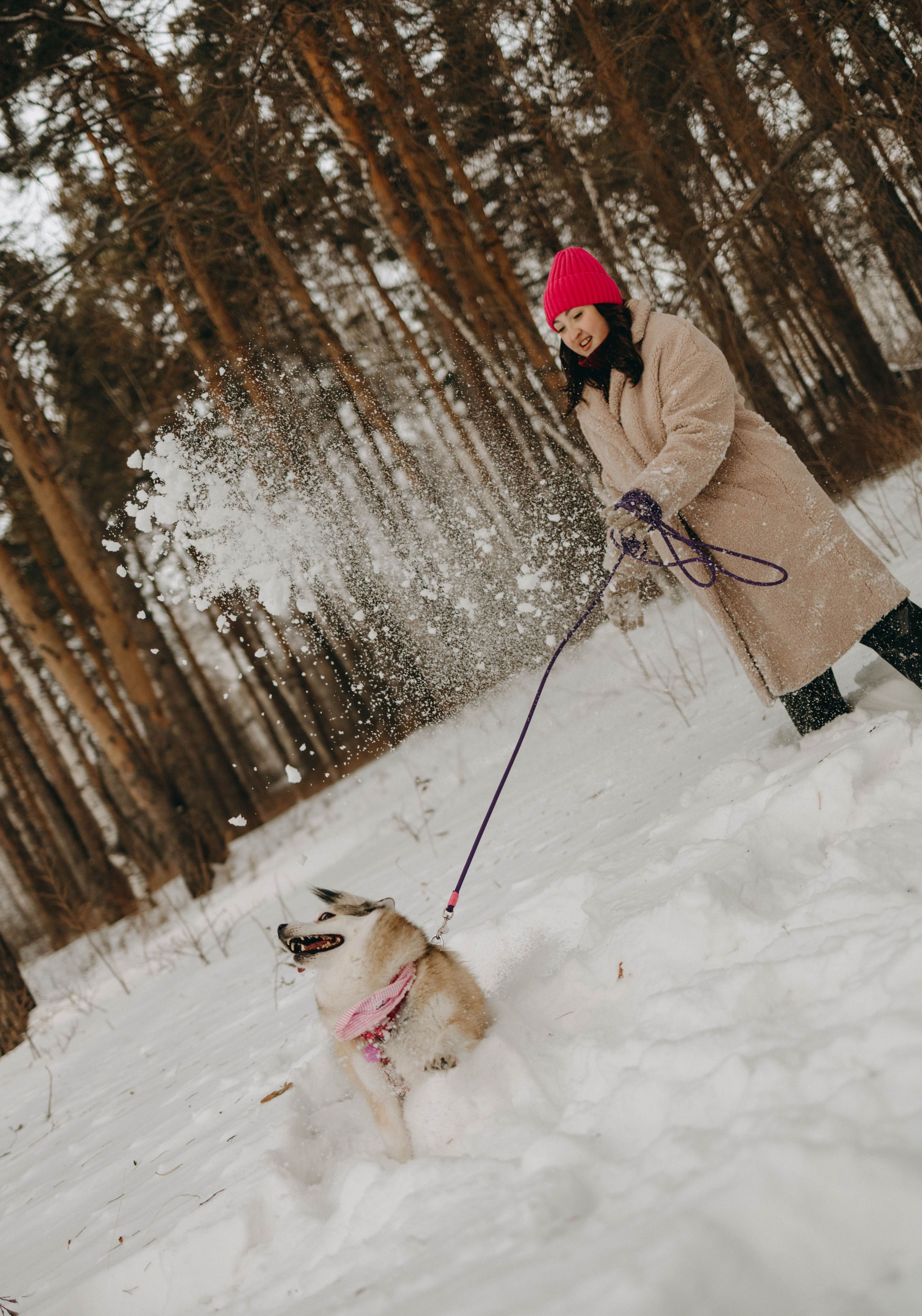 Варвара и Шелби. Фотограф-анималист в Екатеринбурге | Кристина