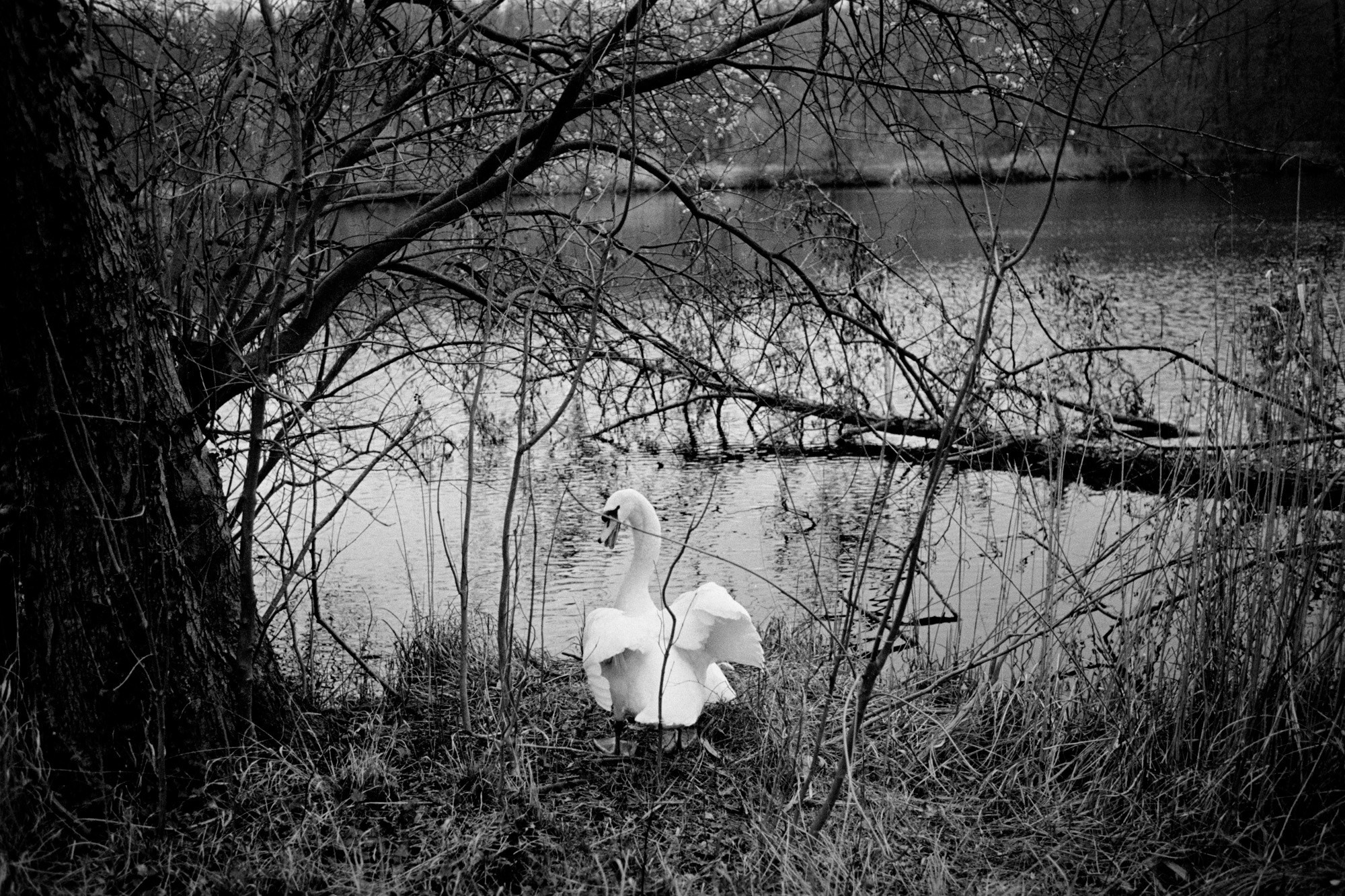 Memories of France. Документальный фотограф Алексей Мякишев, Москва
