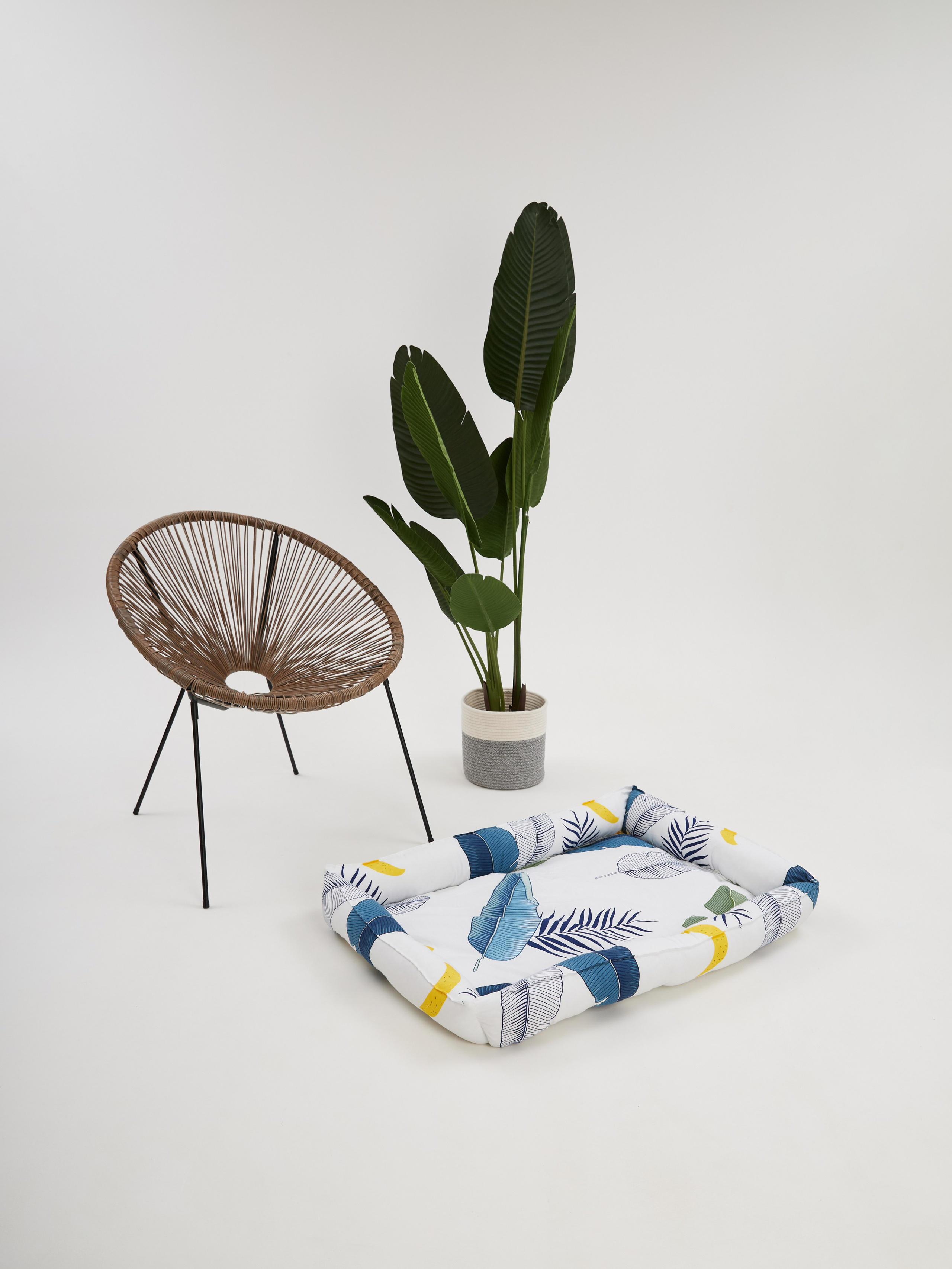 Лежанки. Фотограф