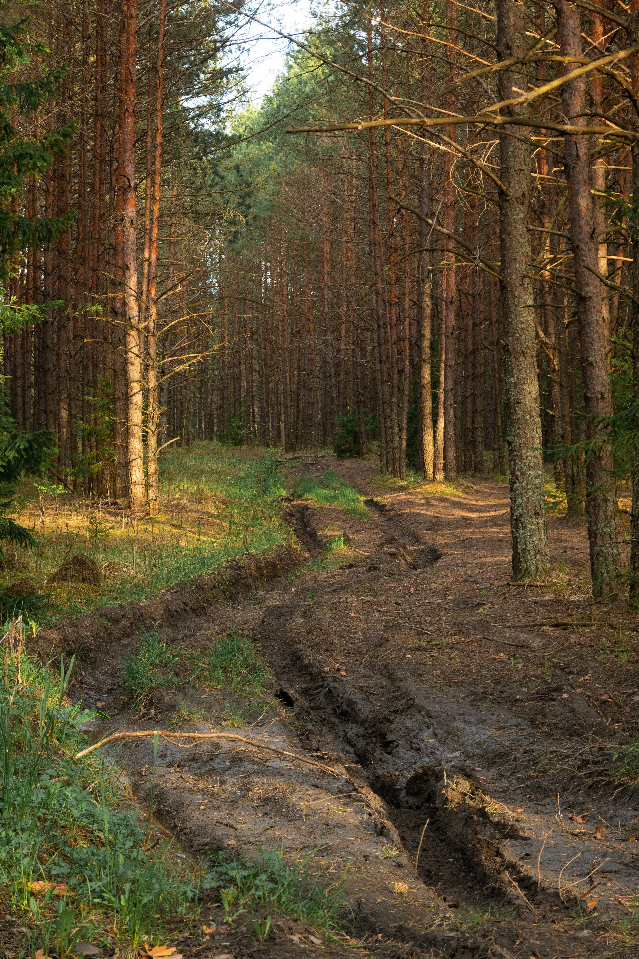 Суворовские карьеры. Фотограф и видеооператор в Туле | Даниил Рыбак