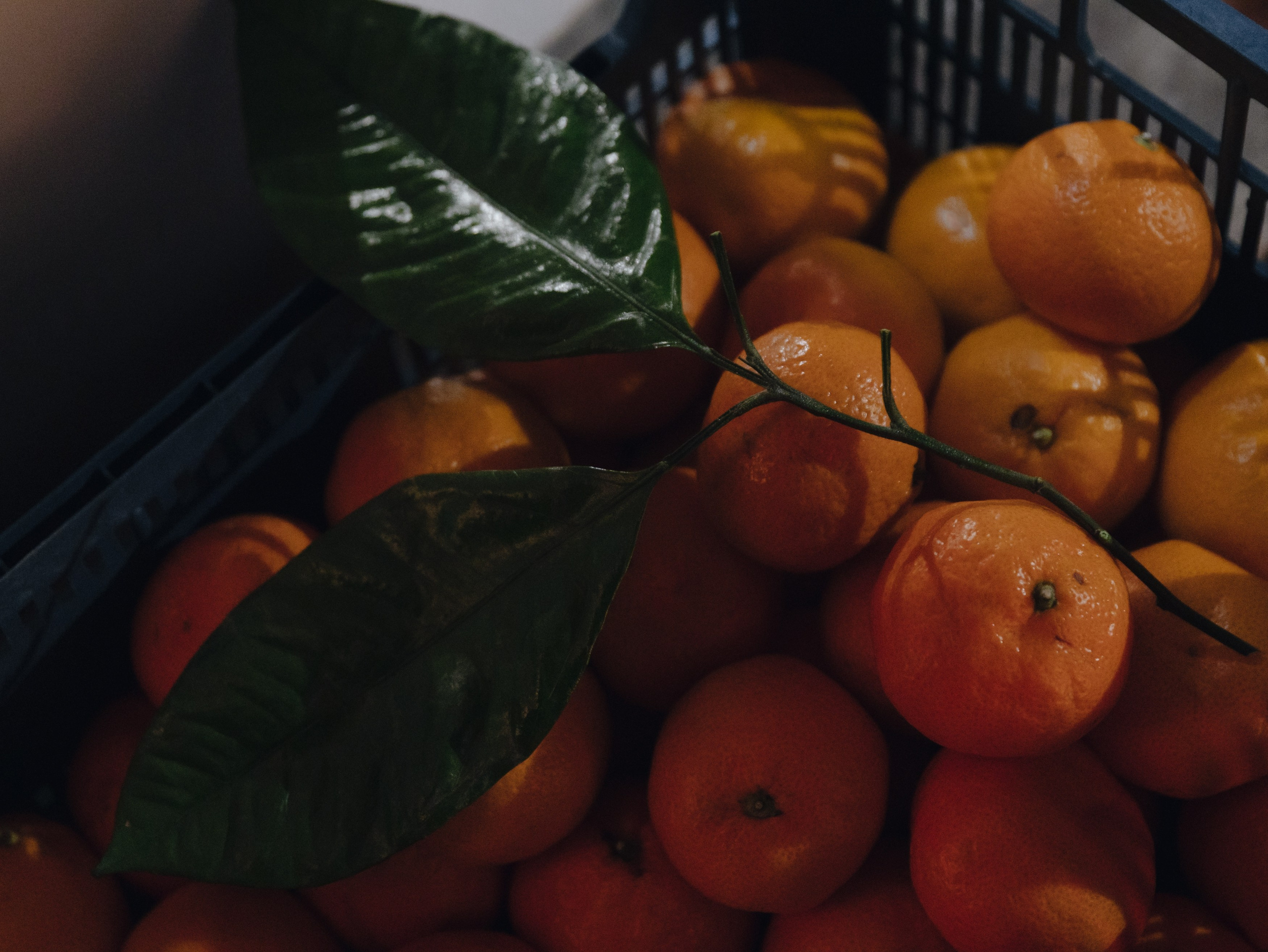 Dubova Event Party. Свадебный фотограф Москва Европа Мария Коренчук