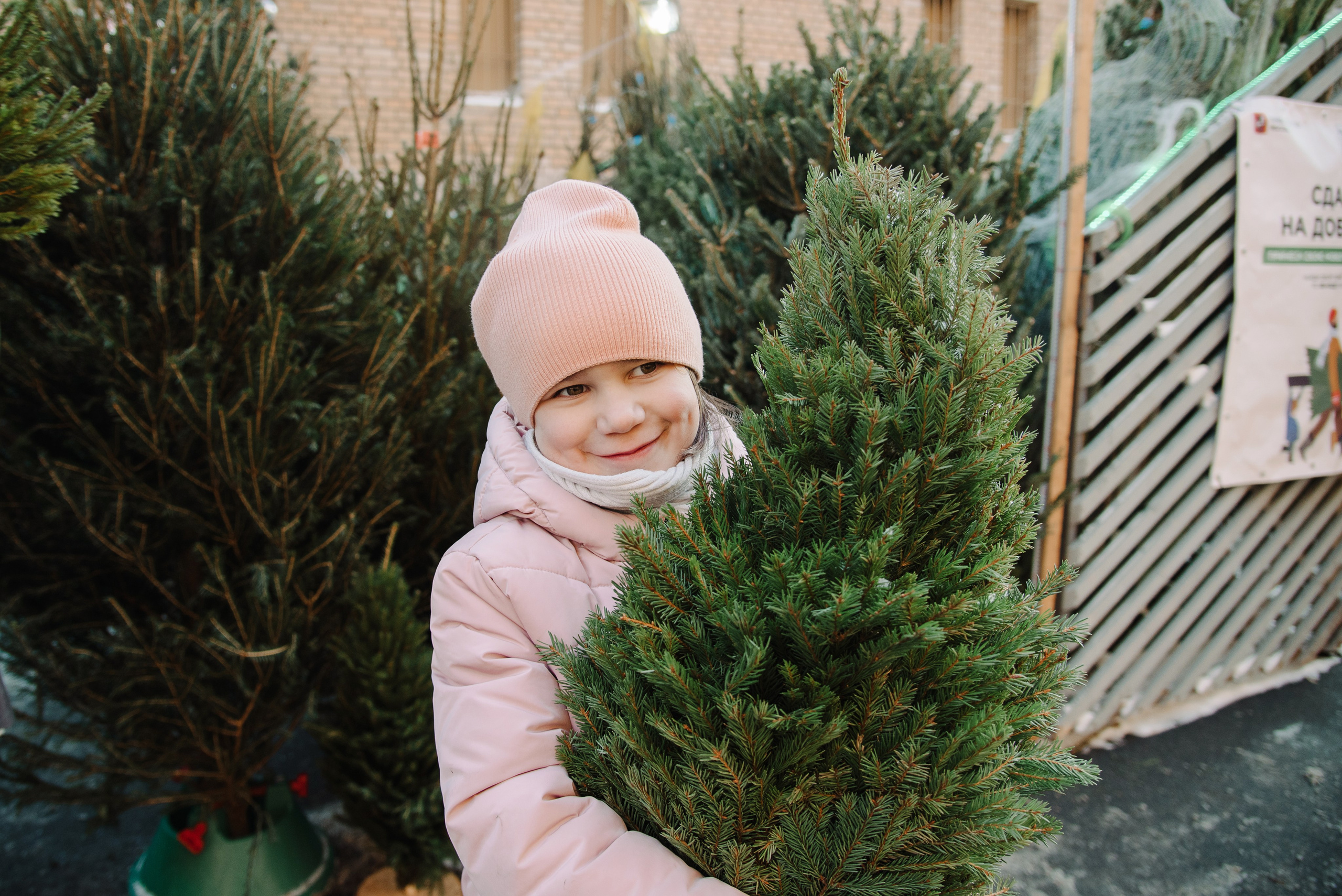 Дина. Предновогоднее. Фотограф Алиса Калинина