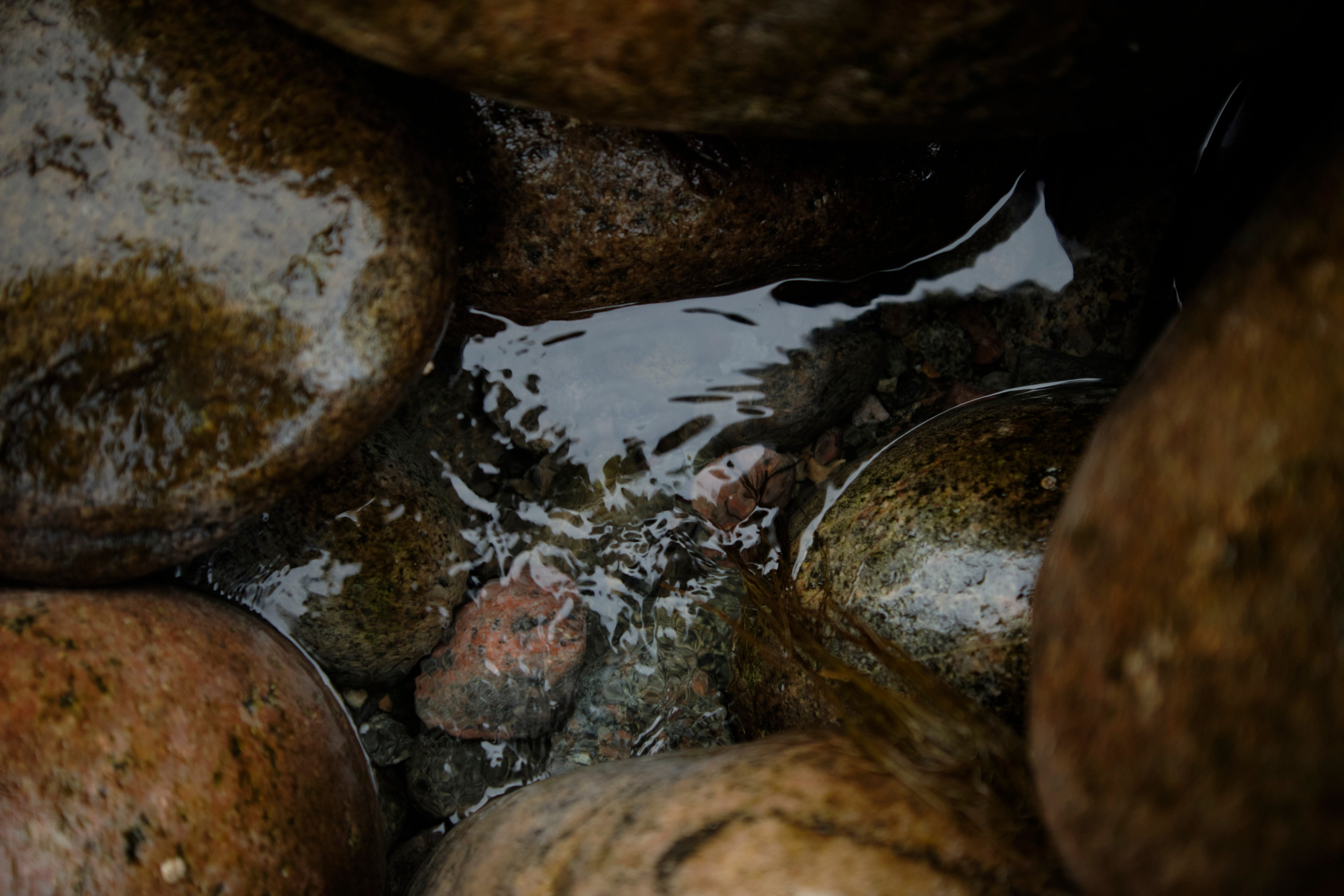 Путешествие в Териберку. Елена Павленко. Фотограф. Москва